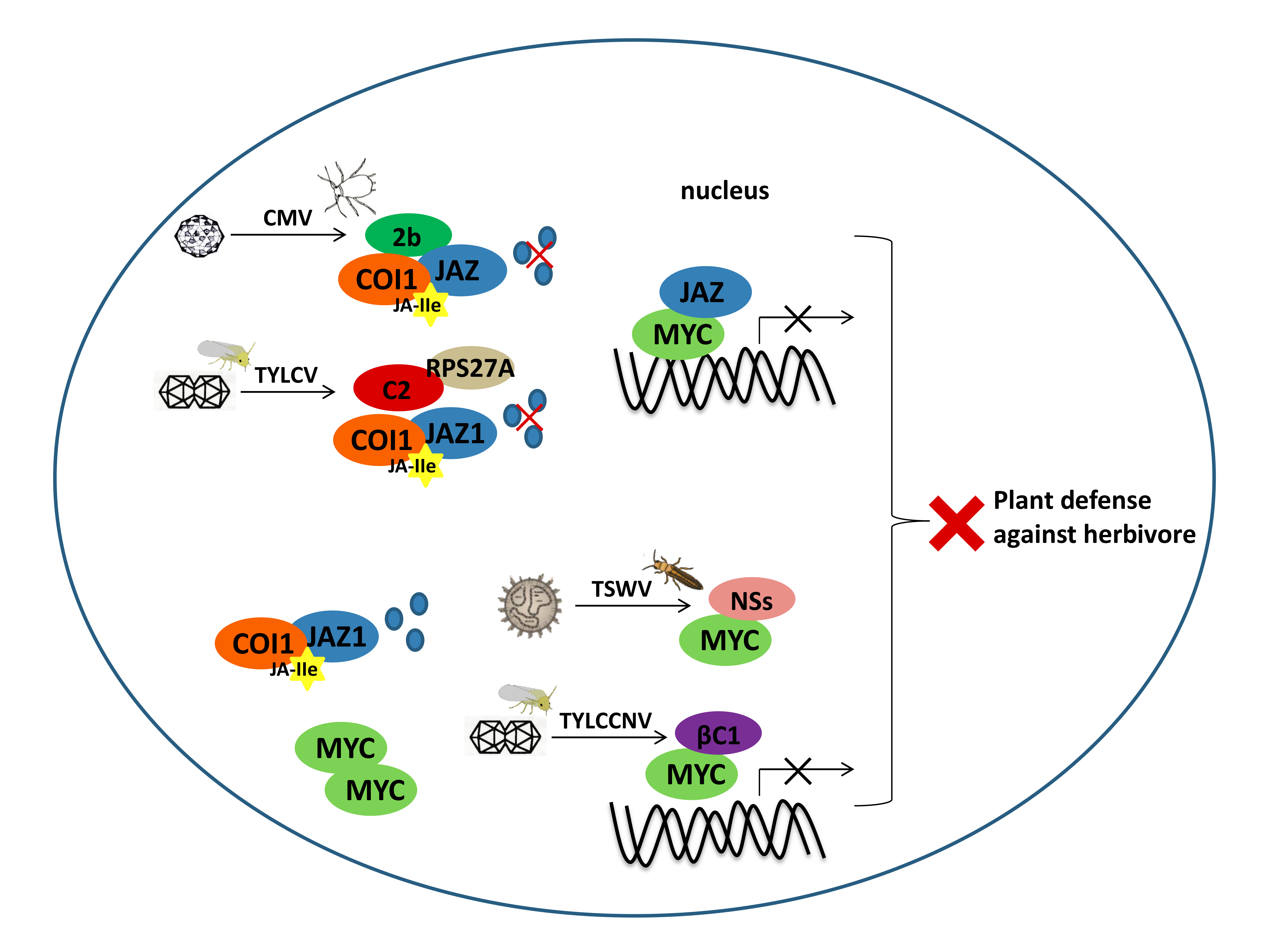 Viruses 12 00148 g002 Viruses 12 00148 g002