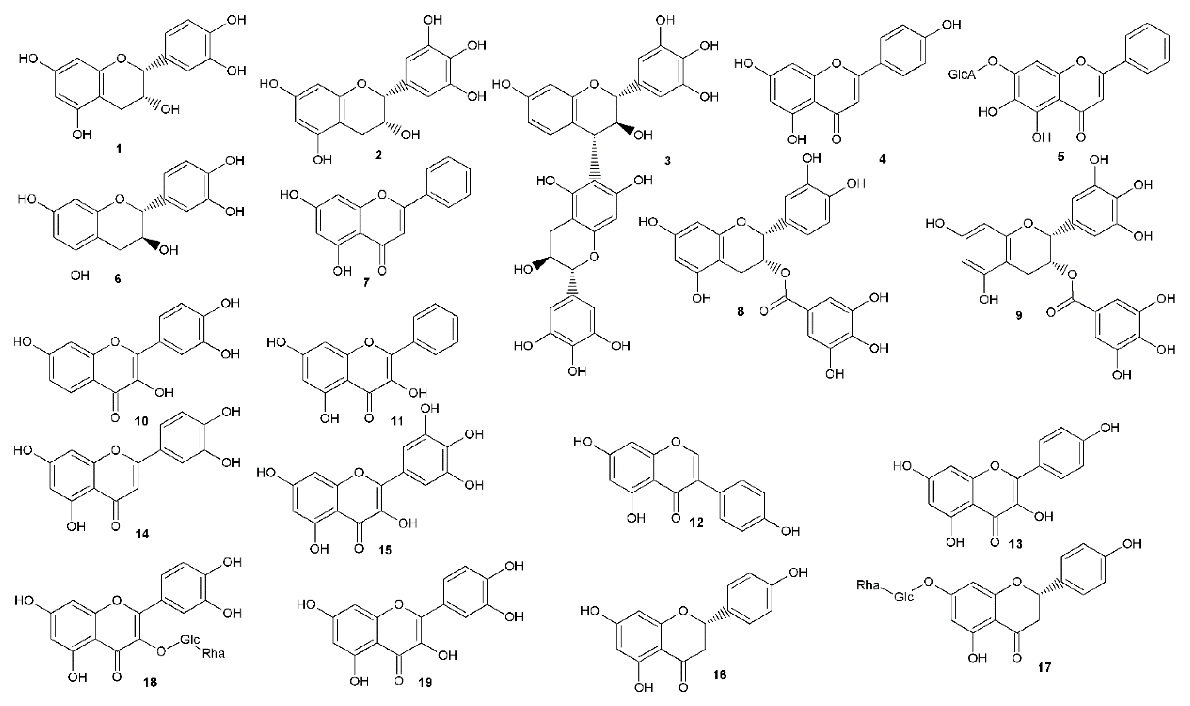 Viruses 12 00154 g002a Viruses 12 00154 g002a