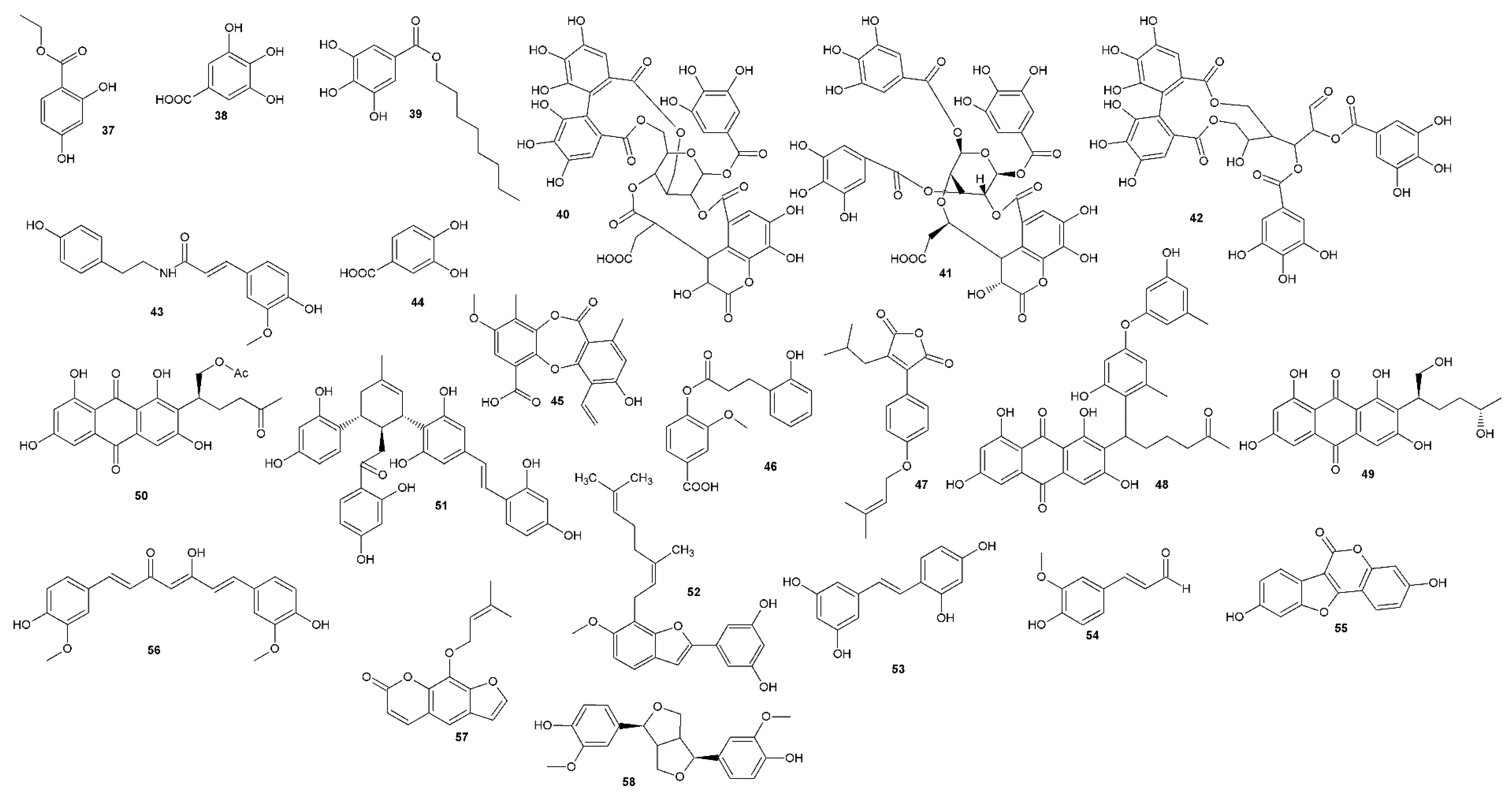 Viruses 12 00154 g002c Viruses 12 00154 g002c