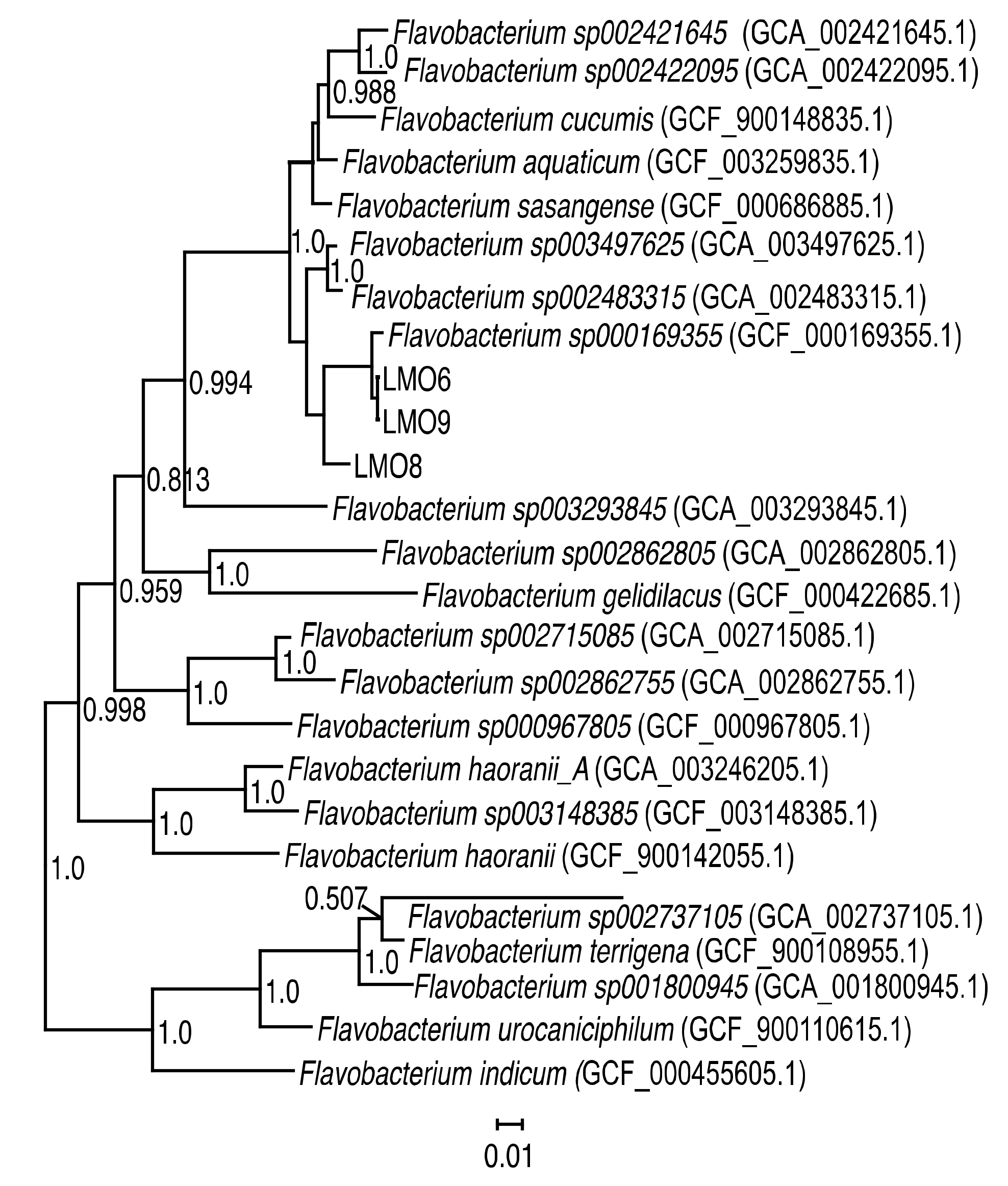 Viruses 12 00158 g001 Viruses 12 00158 g001