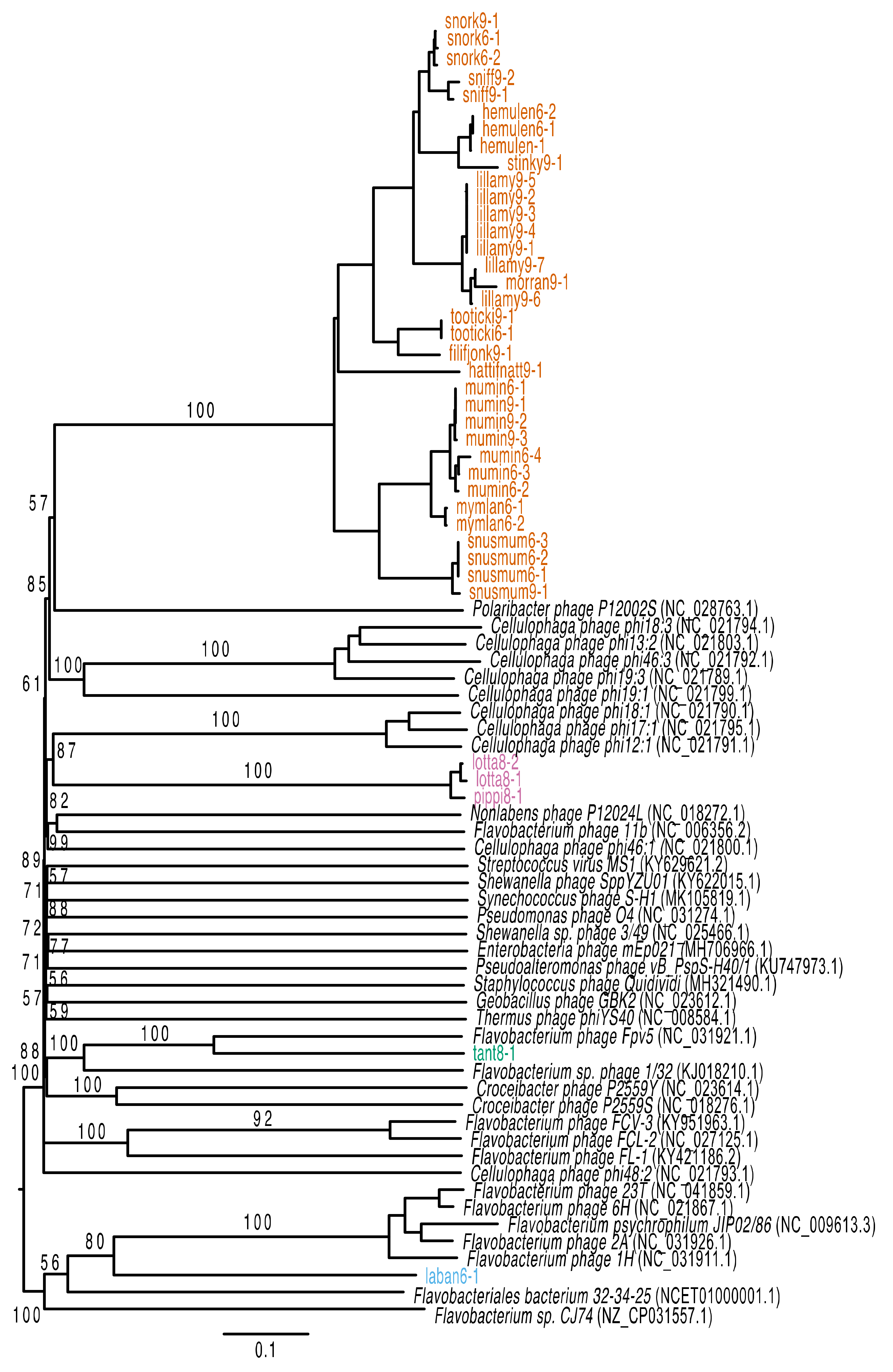 Viruses 12 00158 g003 Viruses 12 00158 g003