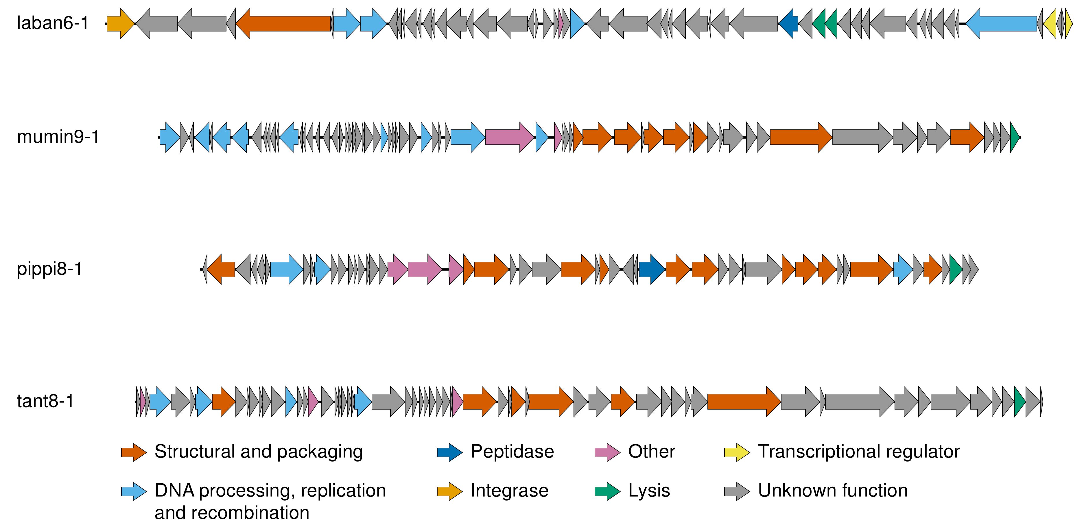 Viruses 12 00158 g004 Viruses 12 00158 g004