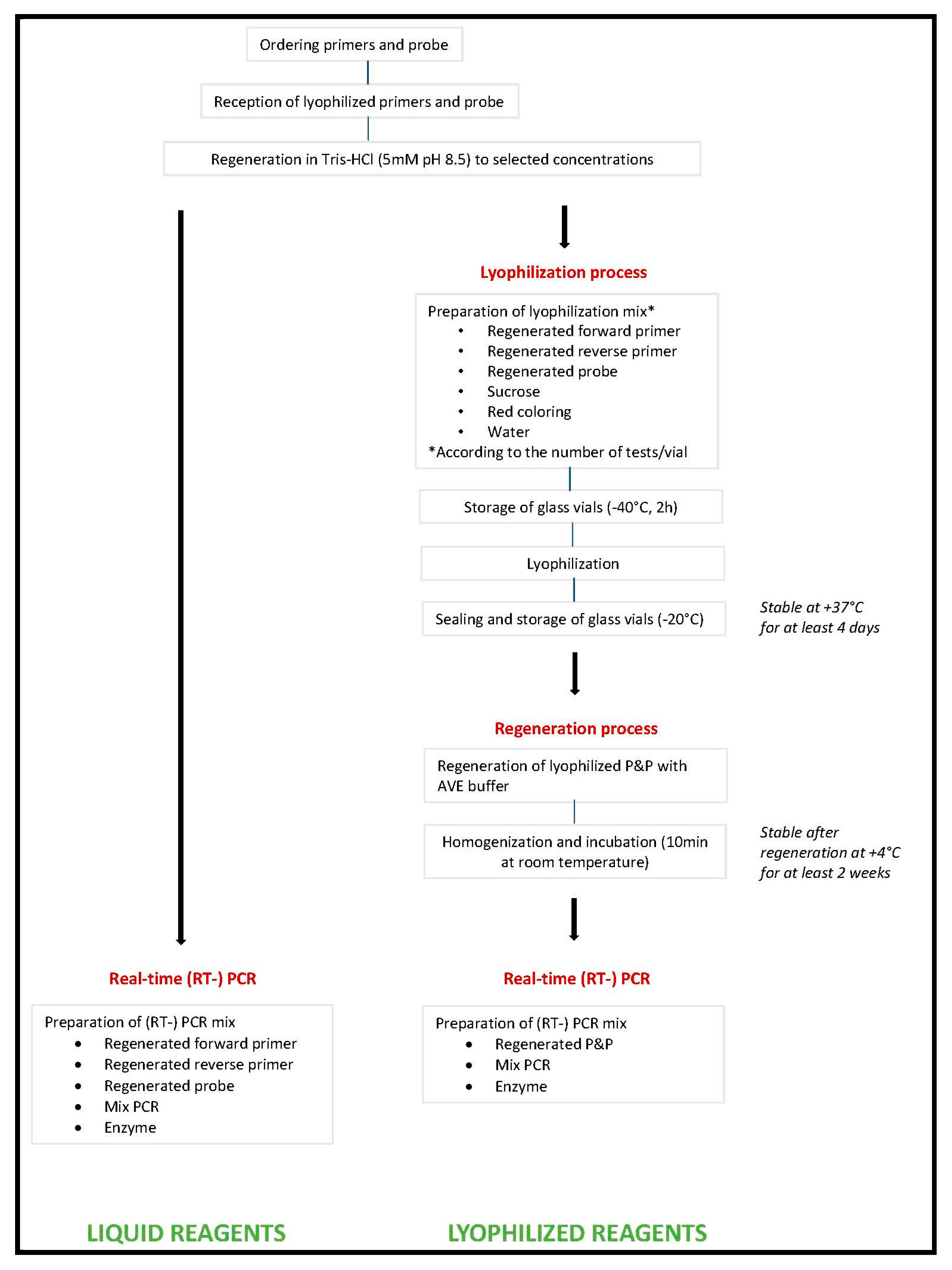 Viruses 12 00159 g001