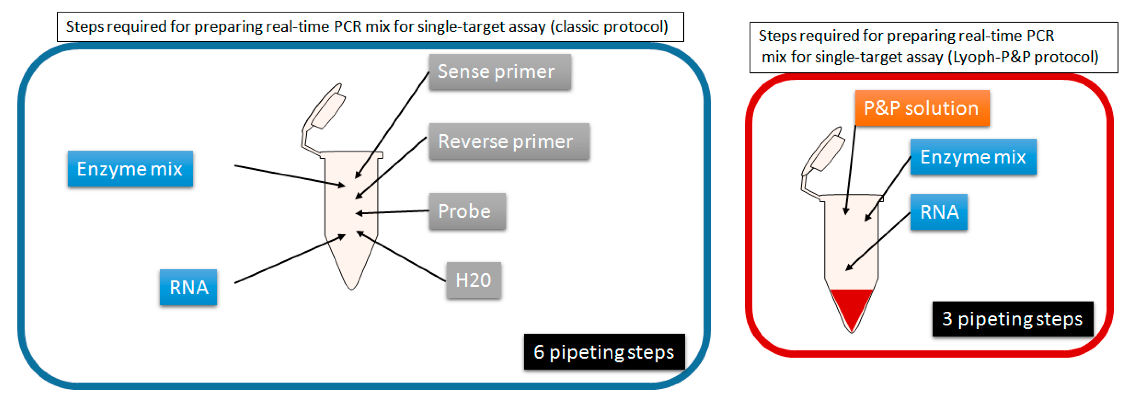 Viruses 12 00159 g002
