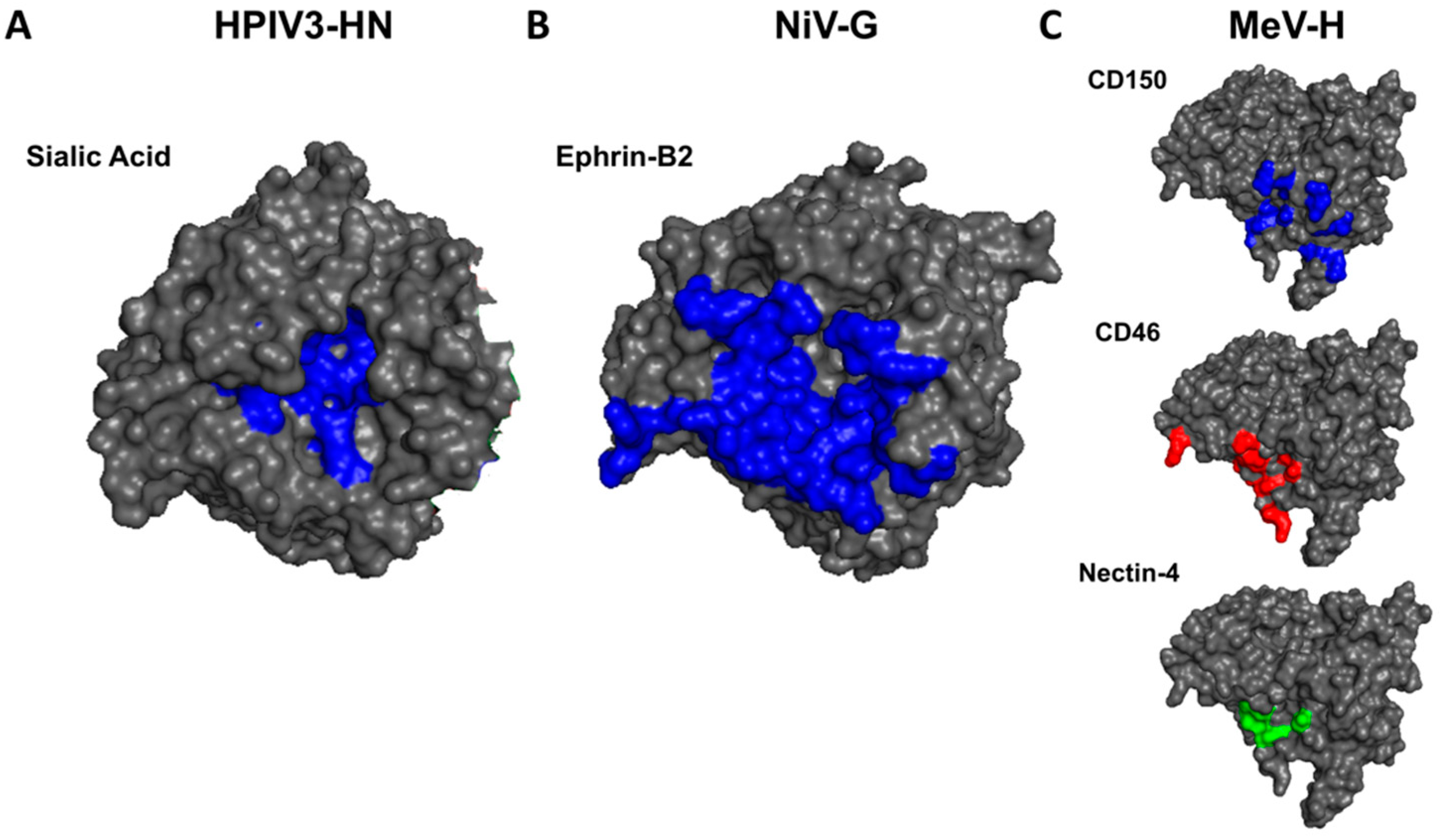 Viruses 12 00161 g003