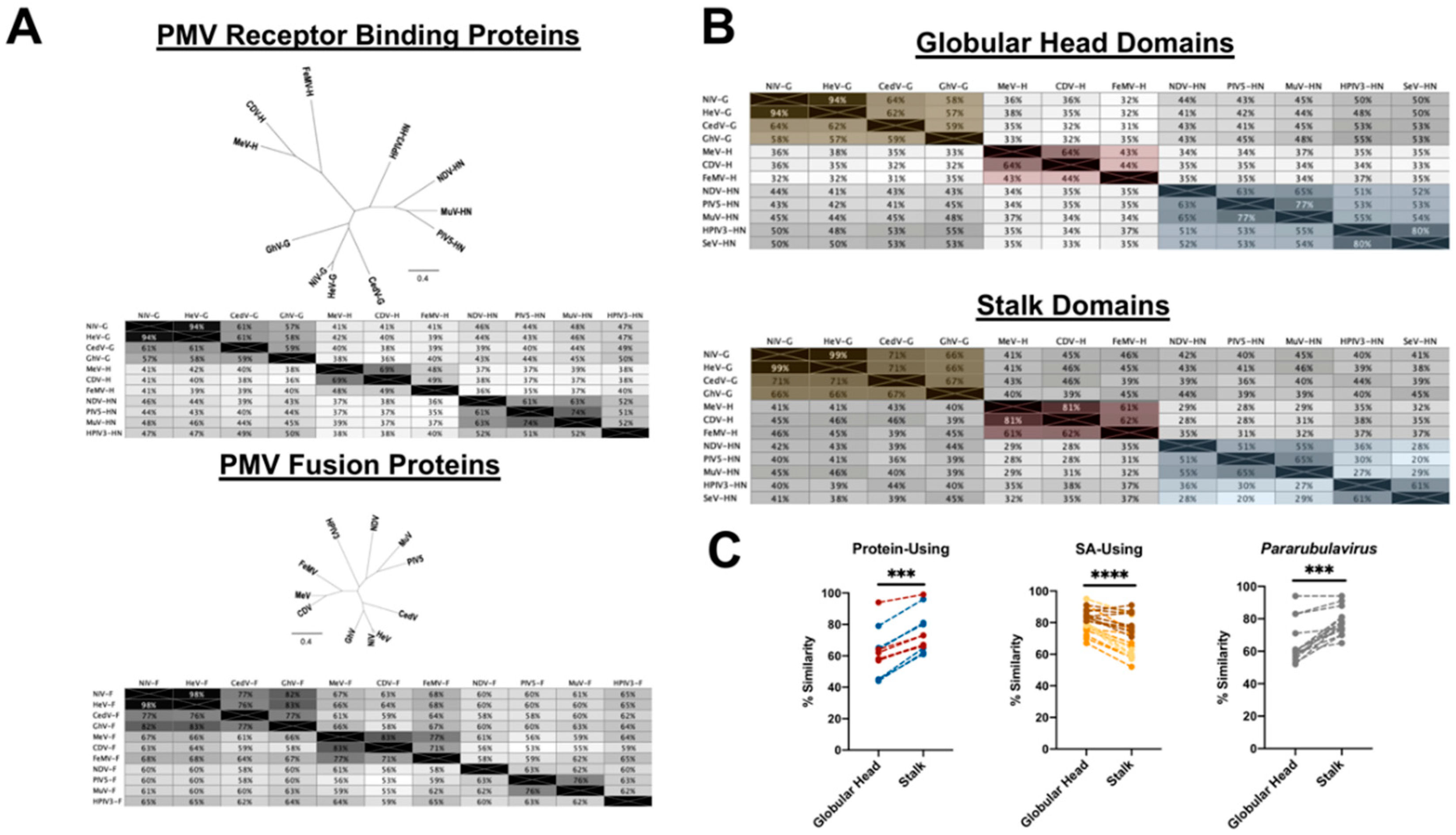Viruses 12 00161 g008