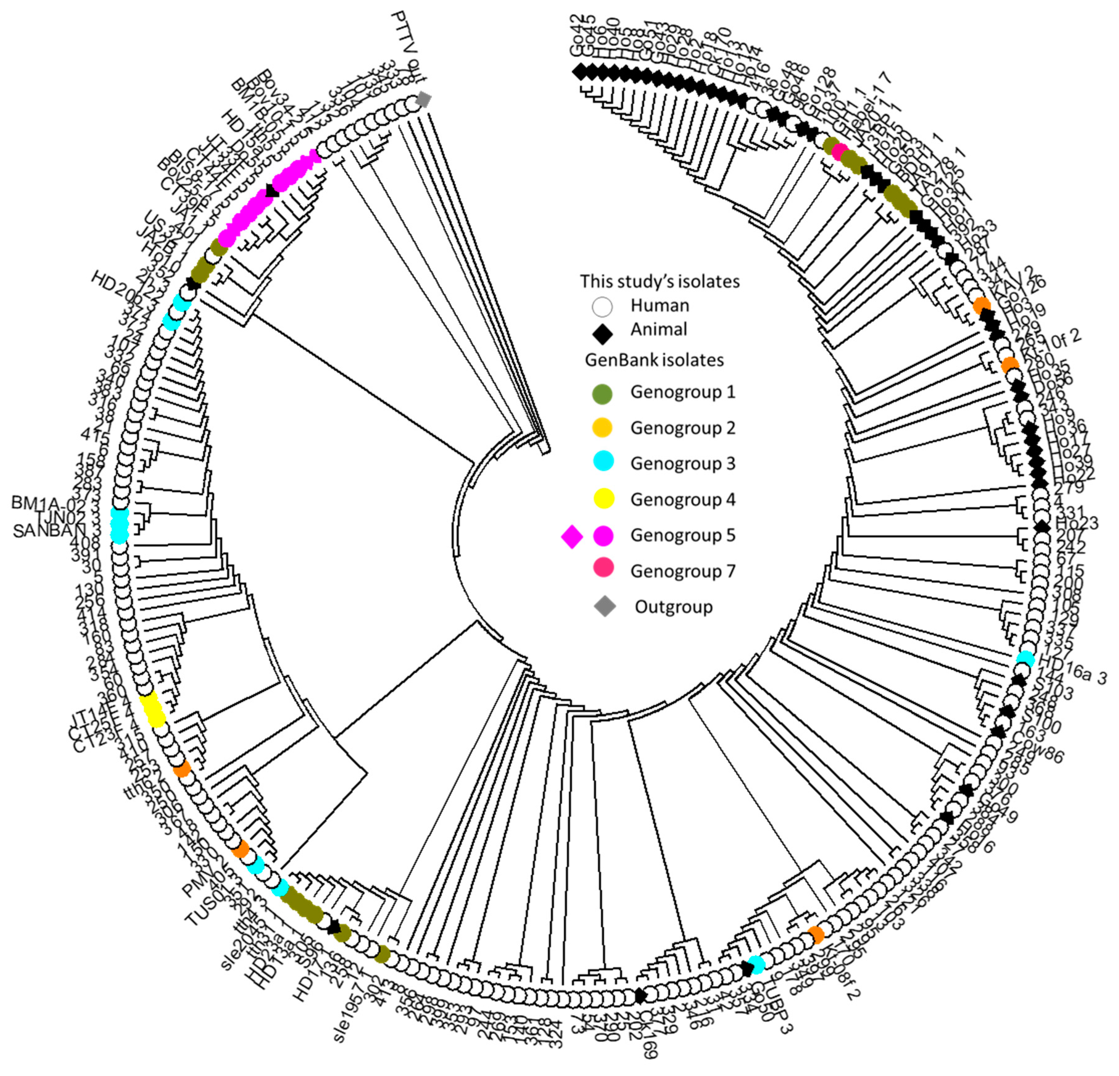 Viruses 12 00165 g003