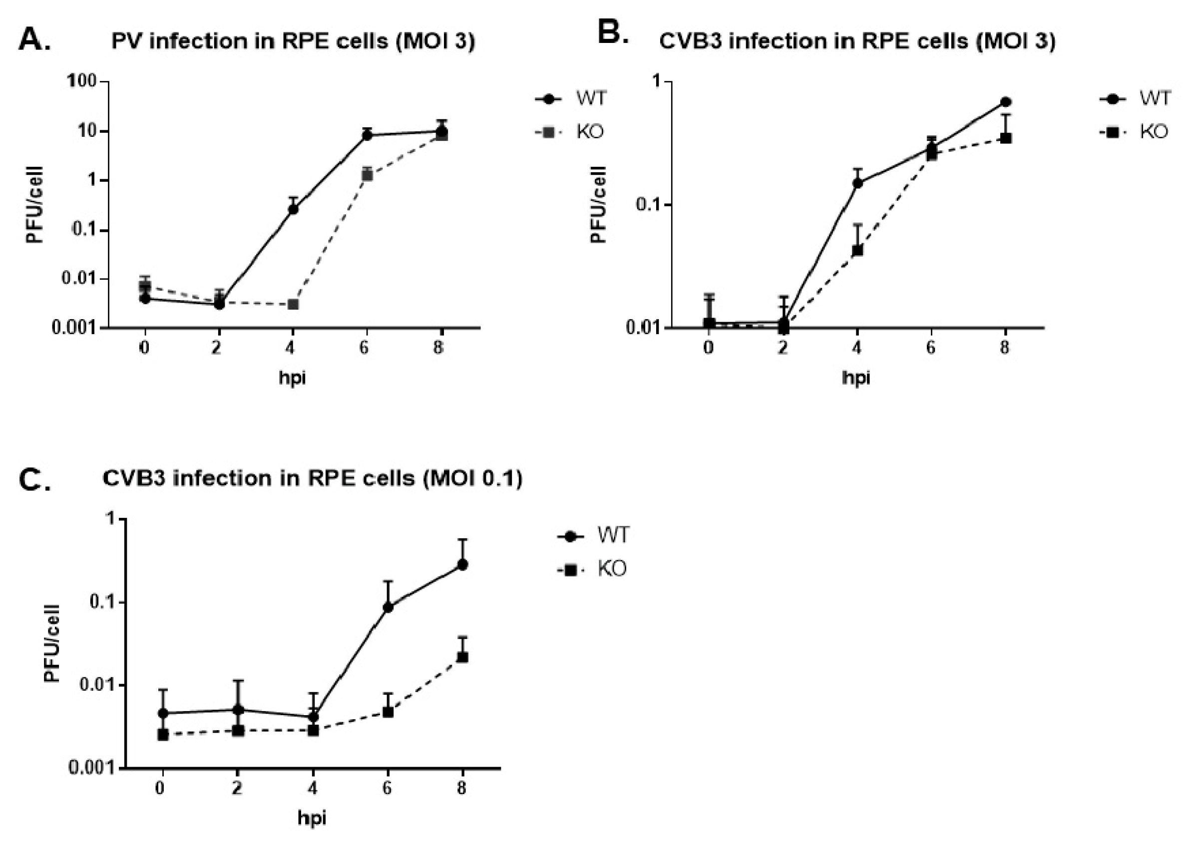 Viruses 12 00166 g003