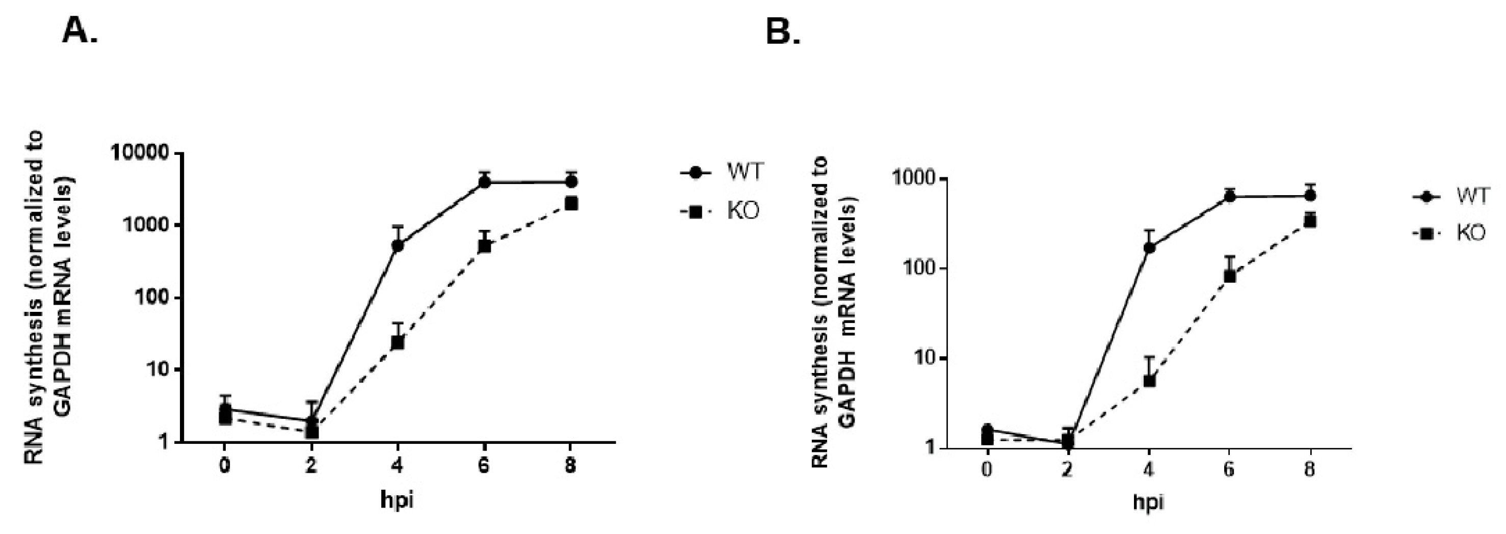 Viruses 12 00166 g011