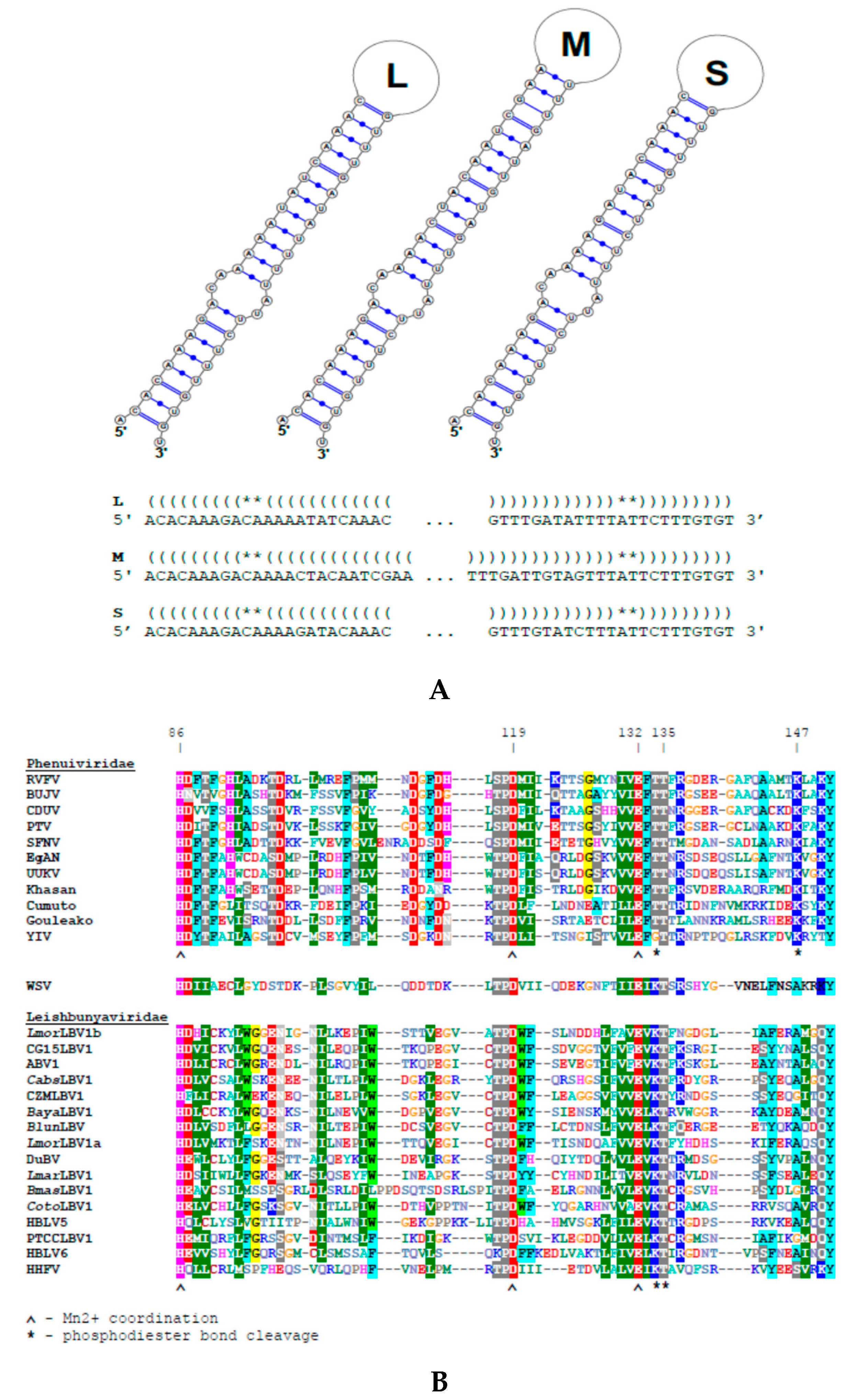 Viruses 12 00168 g002