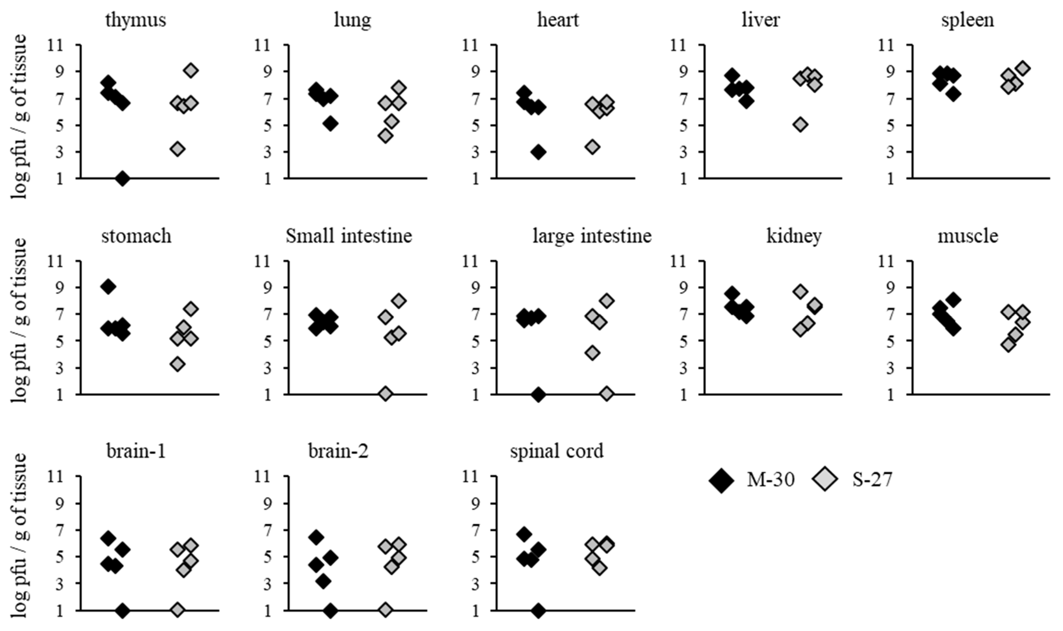 Viruses 12 00169 g005