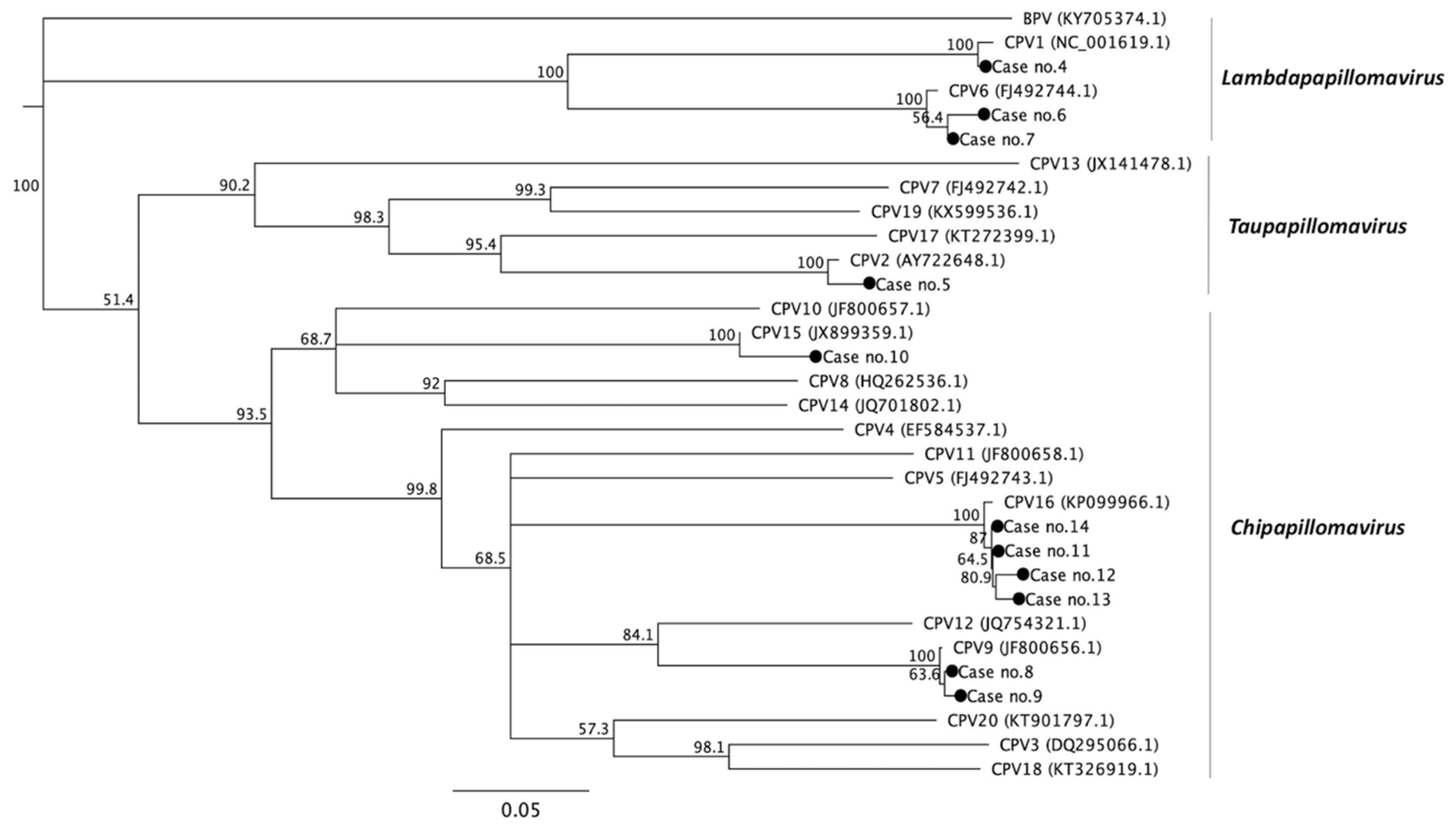Viruses 12 00170 g001 Viruses 12 00170 g001