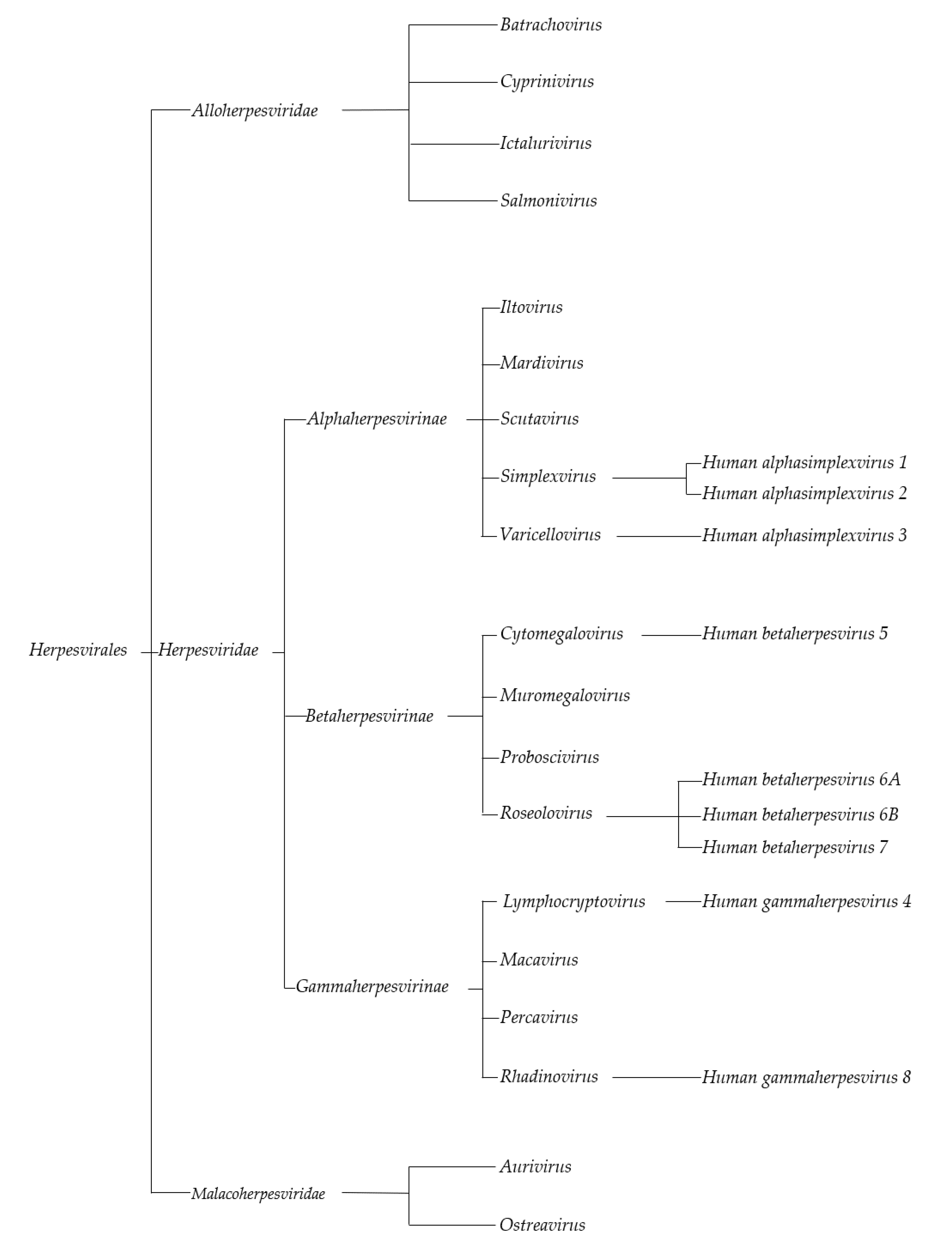 Viruses 12 00172 g001