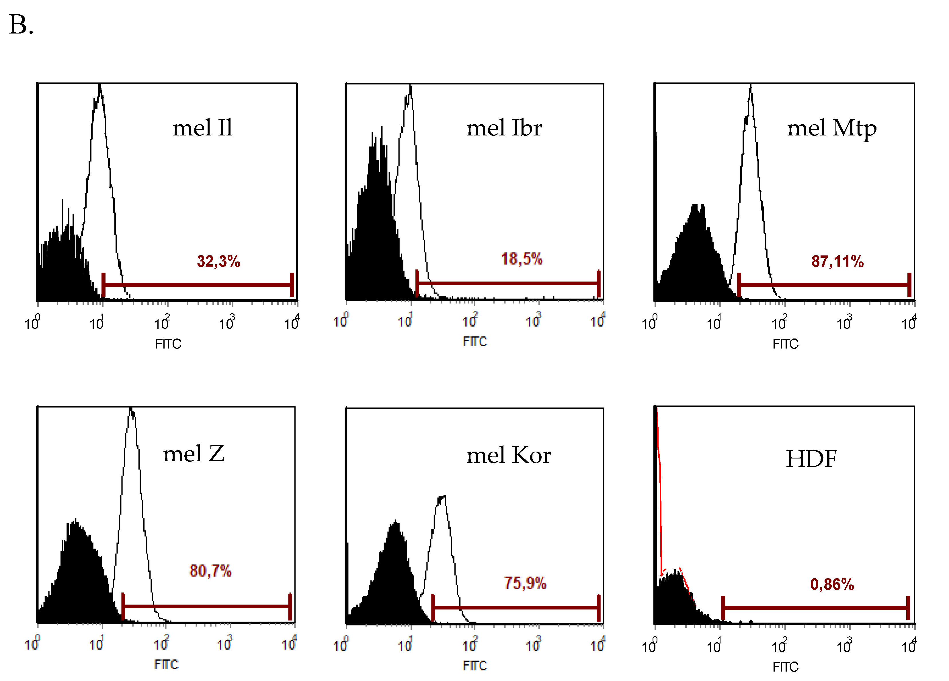 Viruses 12 00173 g006b Viruses 12 00173 g006b