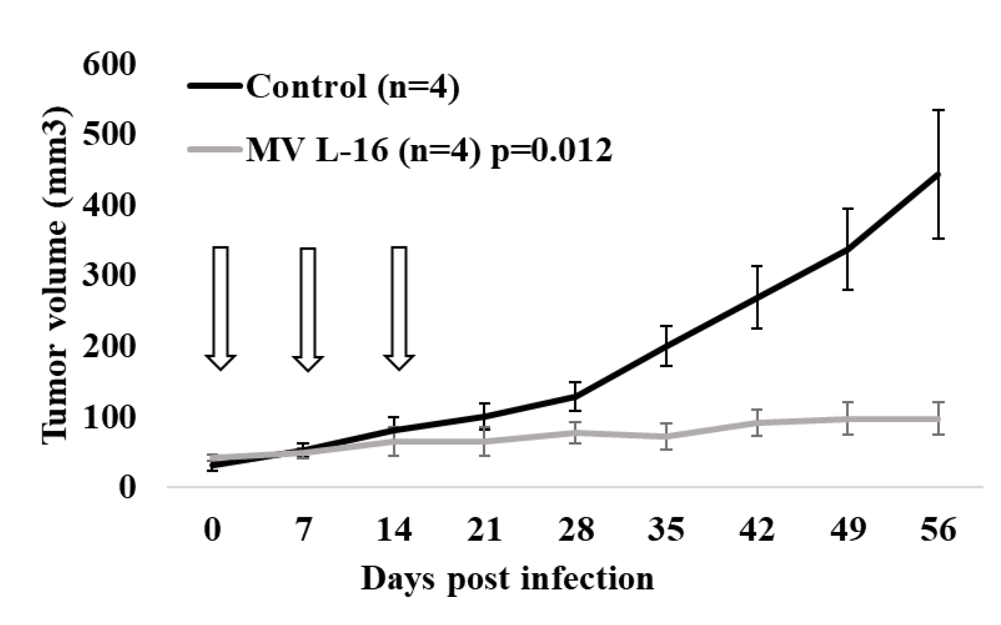 Viruses 12 00173 g012 Viruses 12 00173 g012