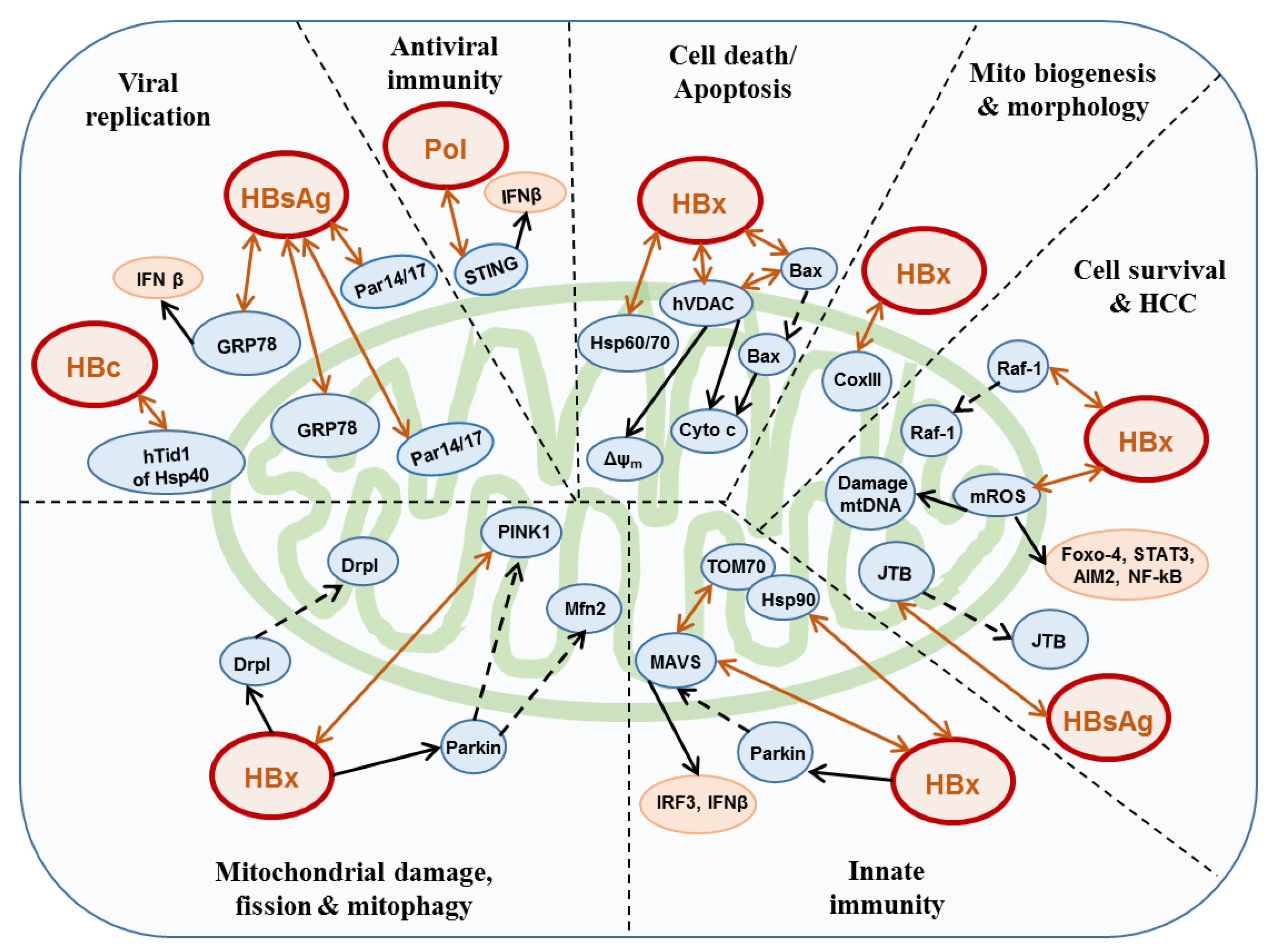 chii Aqueous Nickel-Ion Batteries with Long Lifetime, High