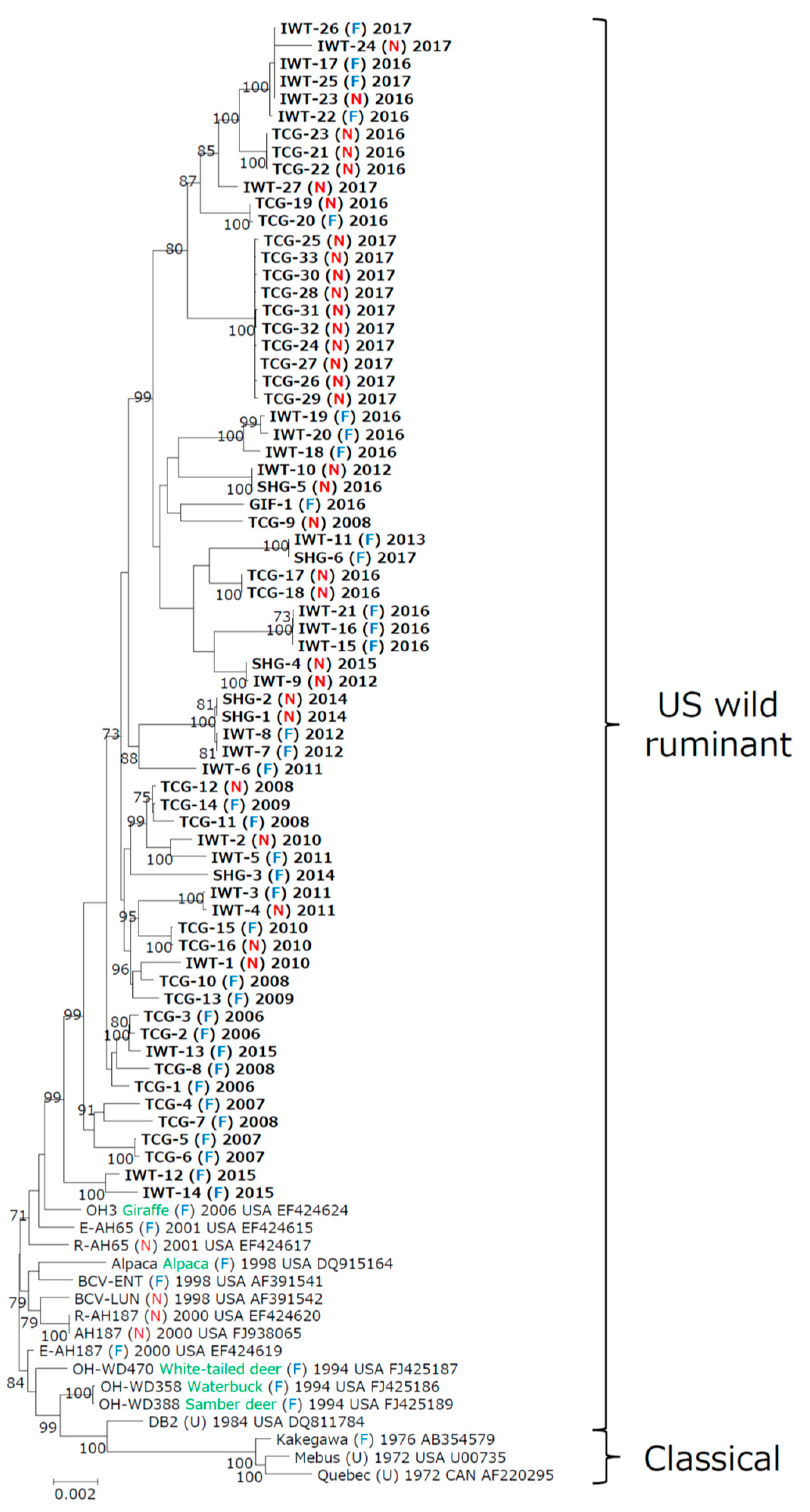 Viruses 12 00183 g001