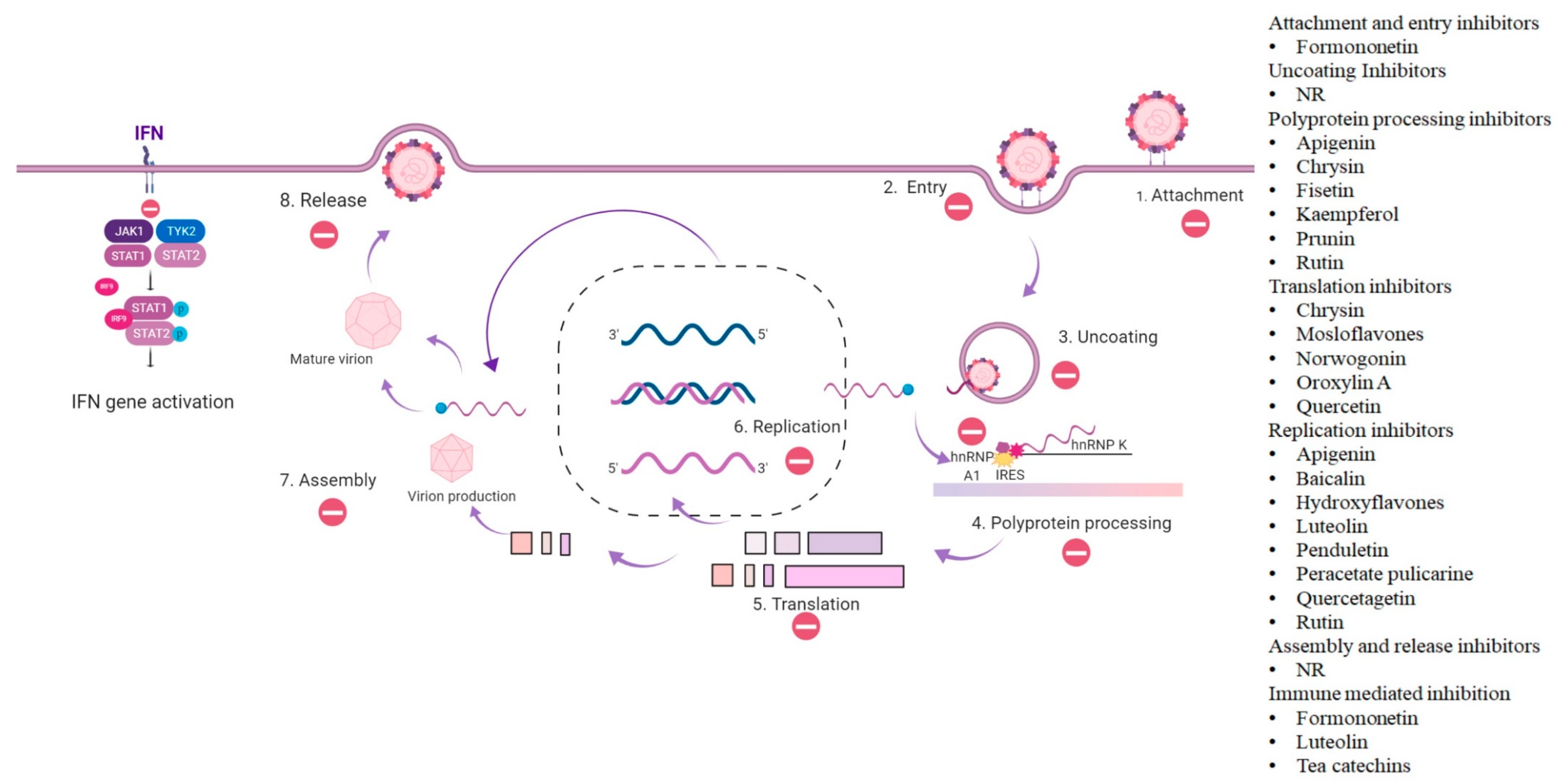Viruses 12 00184 g001