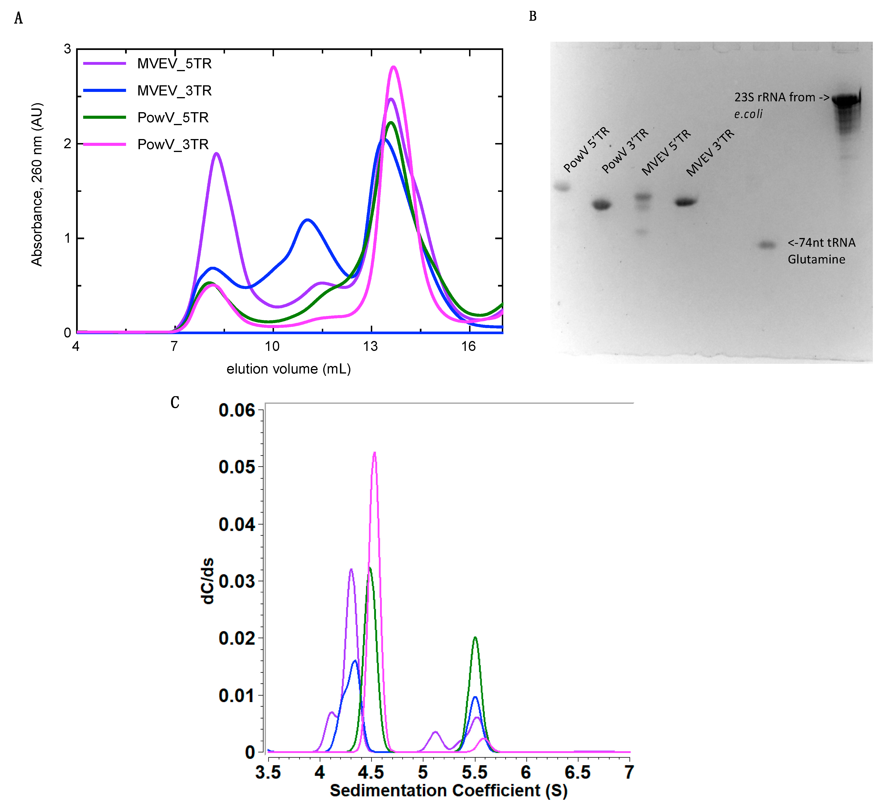 Viruses 12 00190 g002