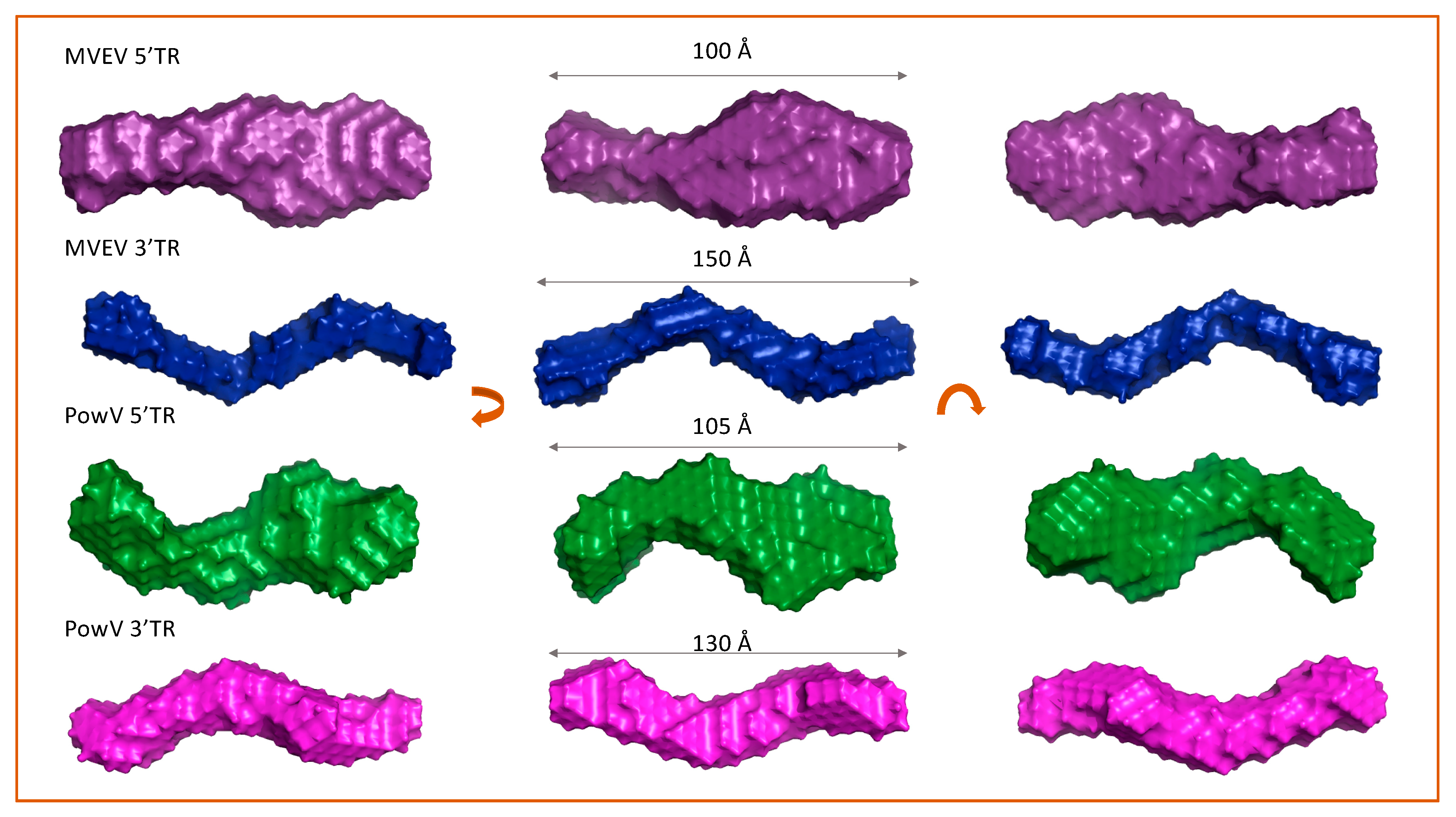 Viruses 12 00190 g004