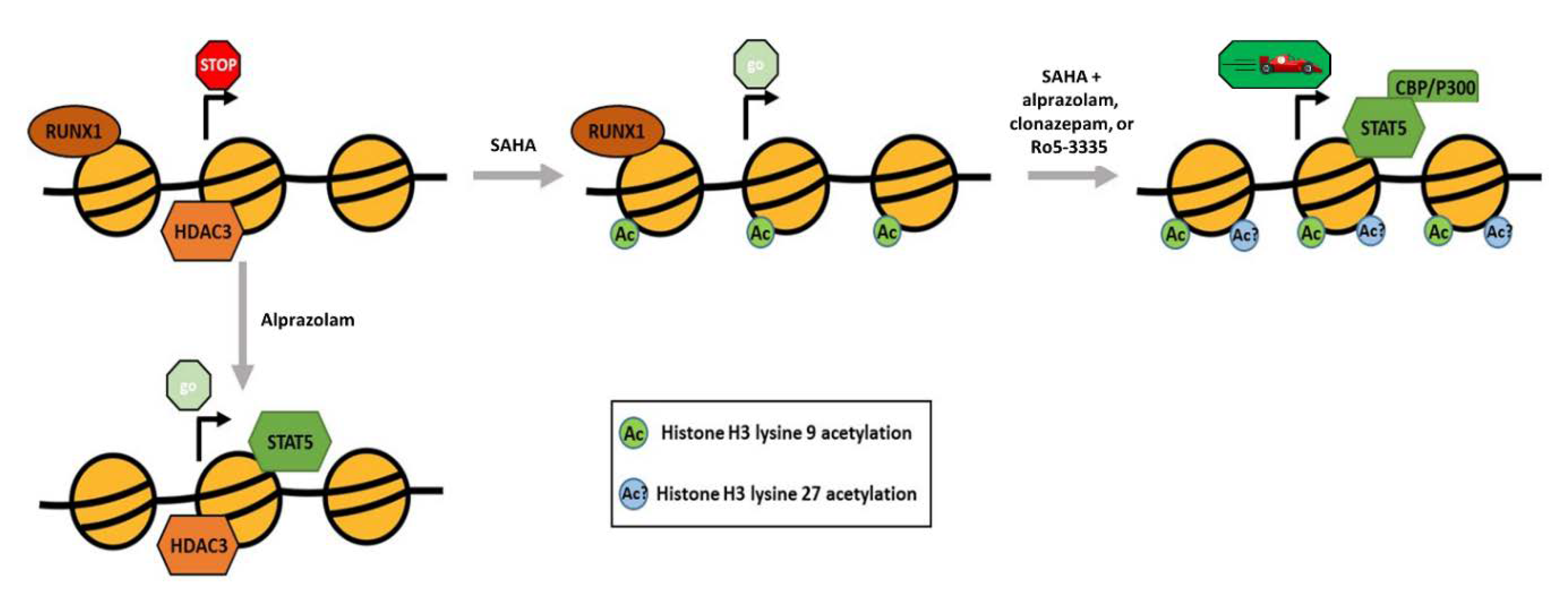 Viruses 12 00191 g008 Viruses 12 00191 g008