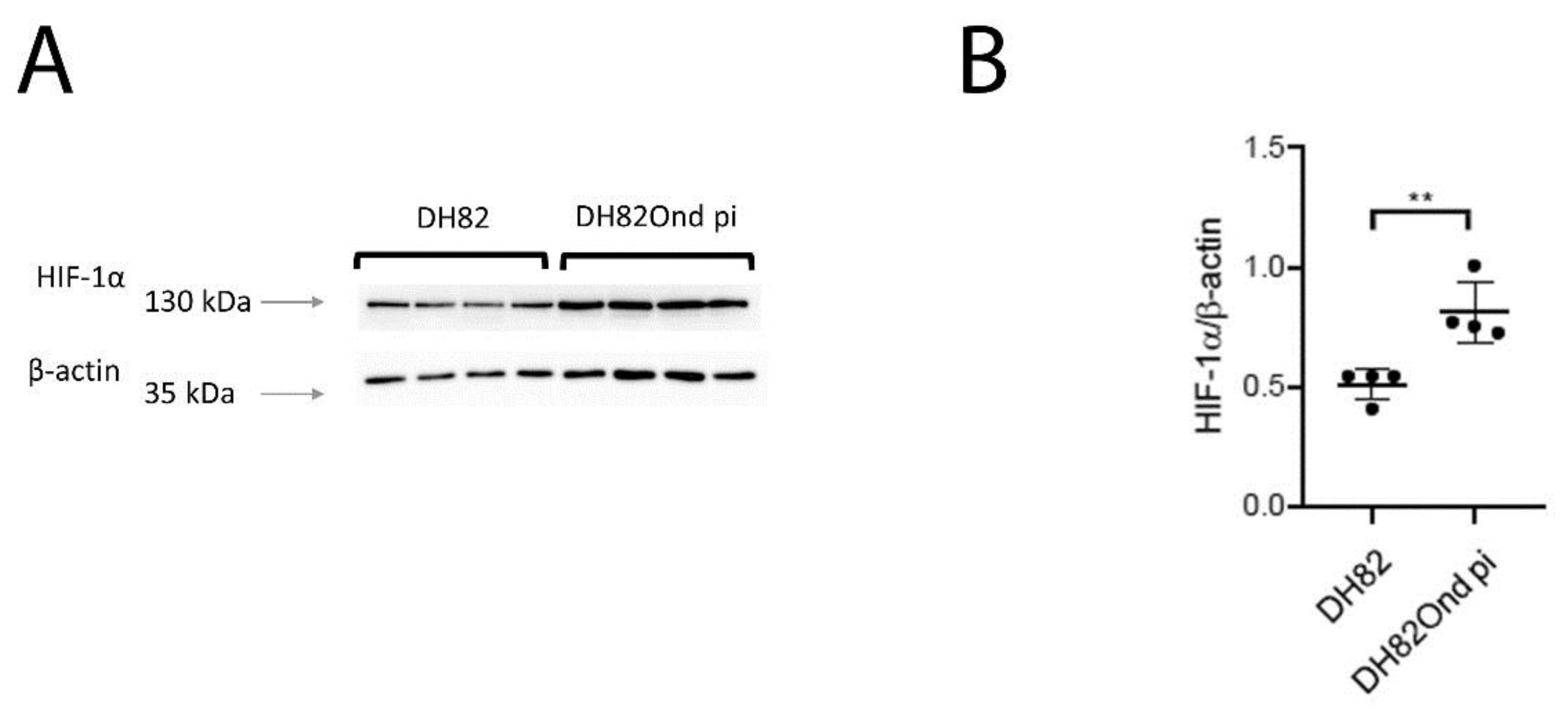 Viruses 12 00200 g004