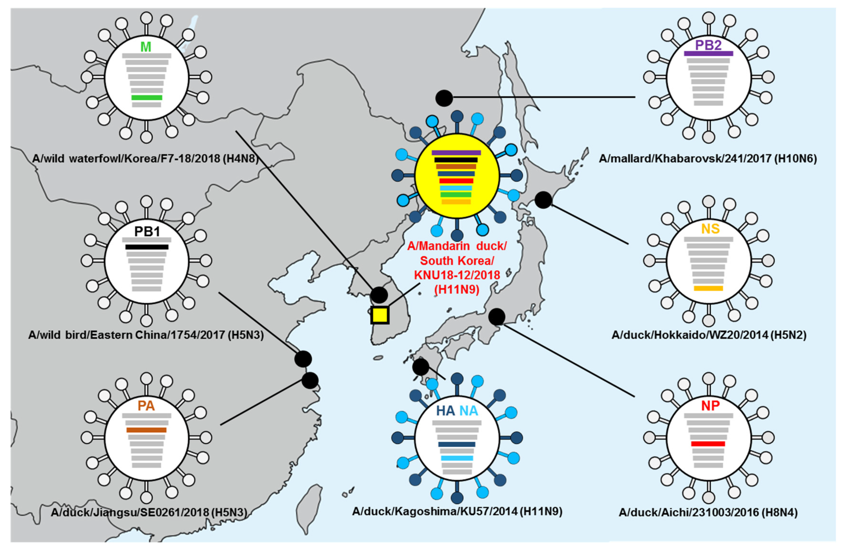 Viruses 12 00203 g001 Viruses 12 00203 g001