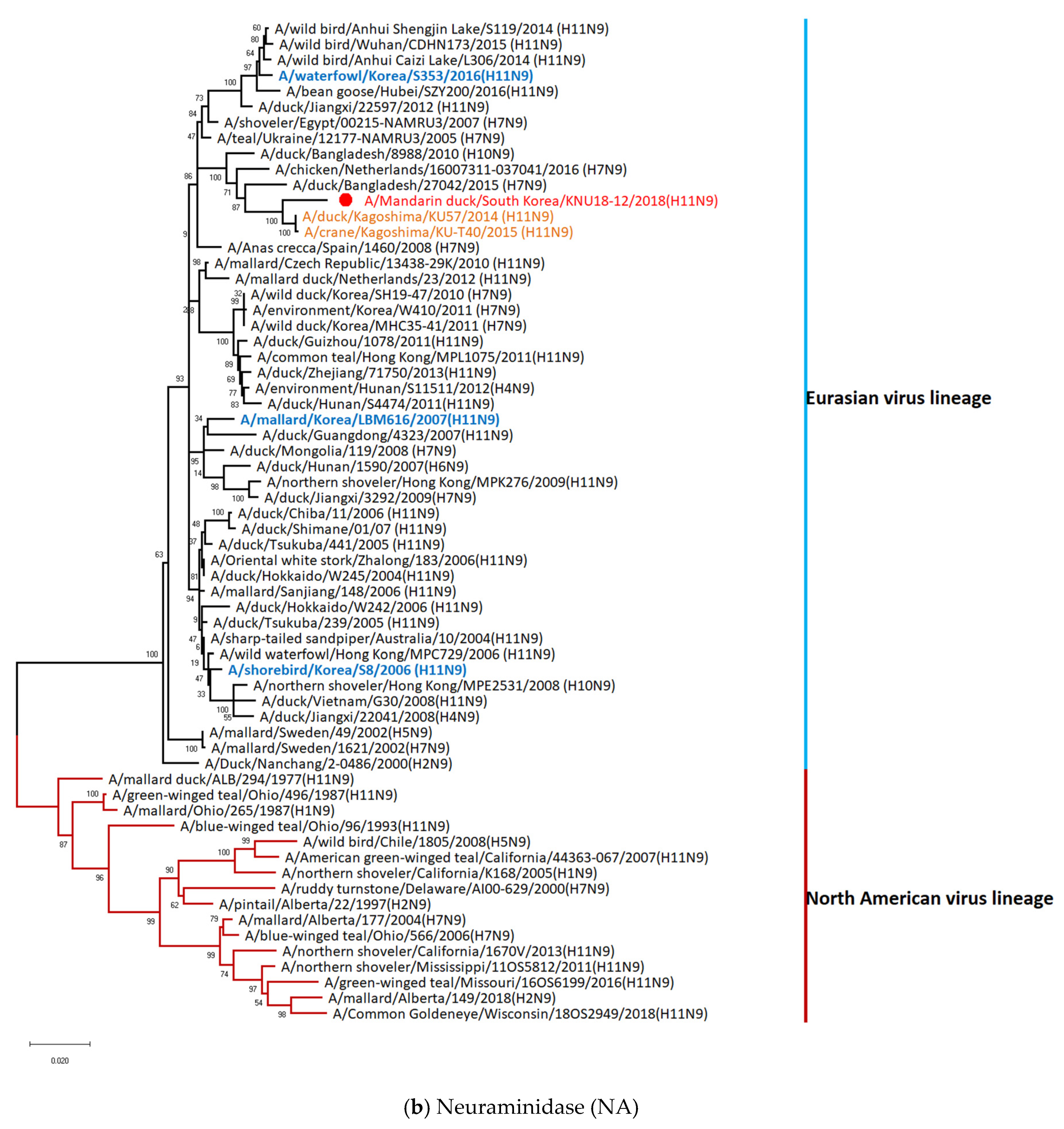 Viruses 12 00203 g002b Viruses 12 00203 g002b