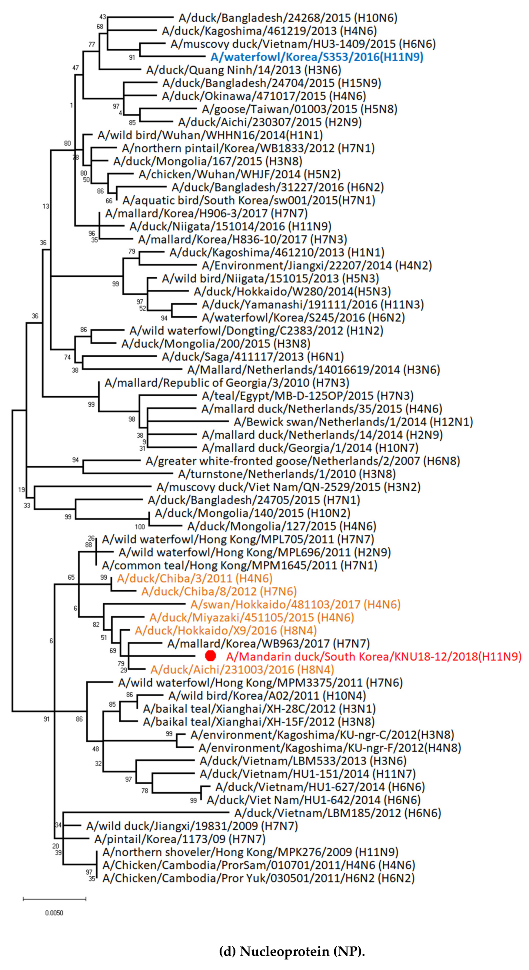 Viruses 12 00203 g002d Viruses 12 00203 g002d