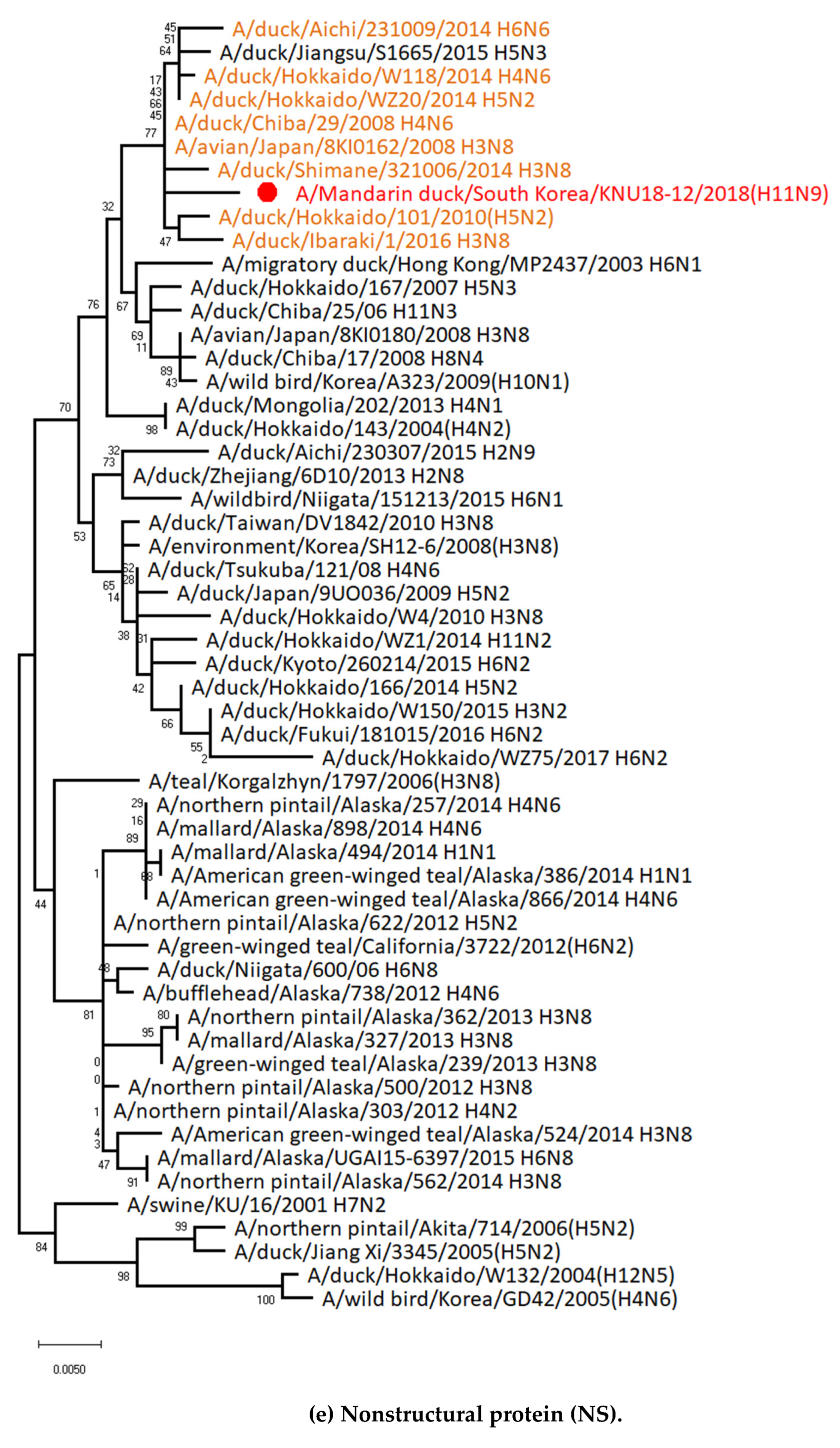 Viruses 12 00203 g002e Viruses 12 00203 g002e