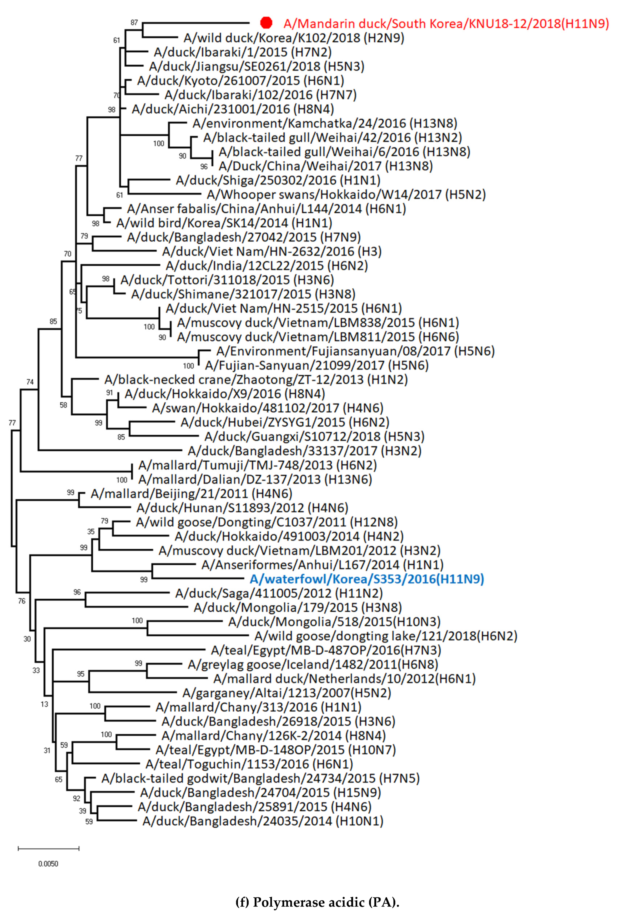 Viruses 12 00203 g002f Viruses 12 00203 g002f