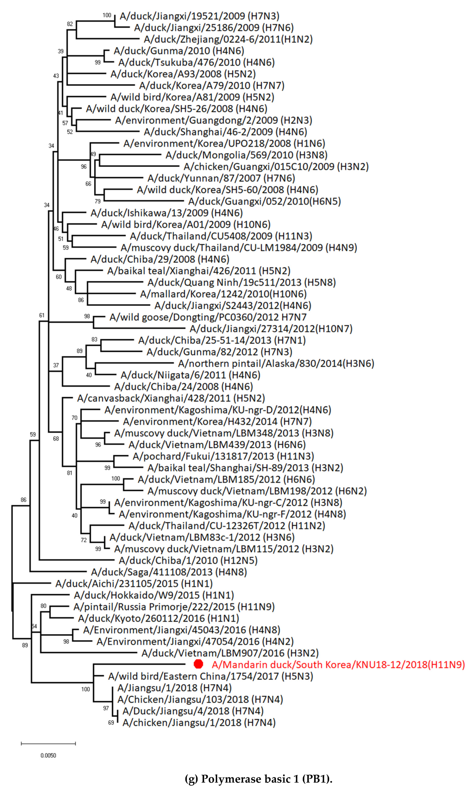 Viruses 12 00203 g002g Viruses 12 00203 g002g