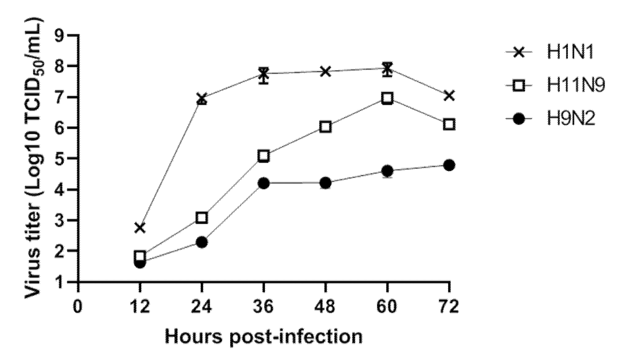 Viruses 12 00203 g003 Viruses 12 00203 g003