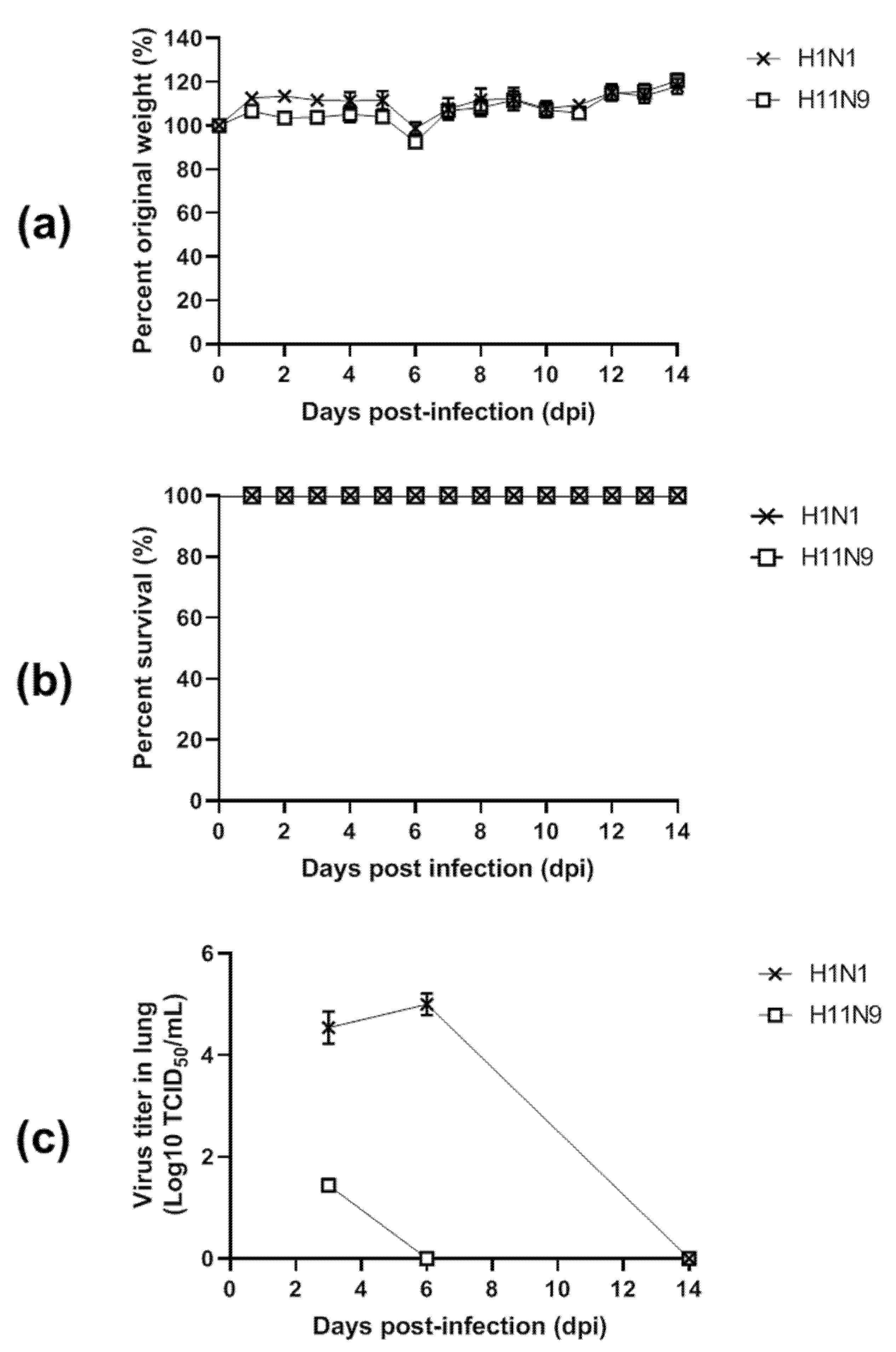 Viruses 12 00203 g004 Viruses 12 00203 g004