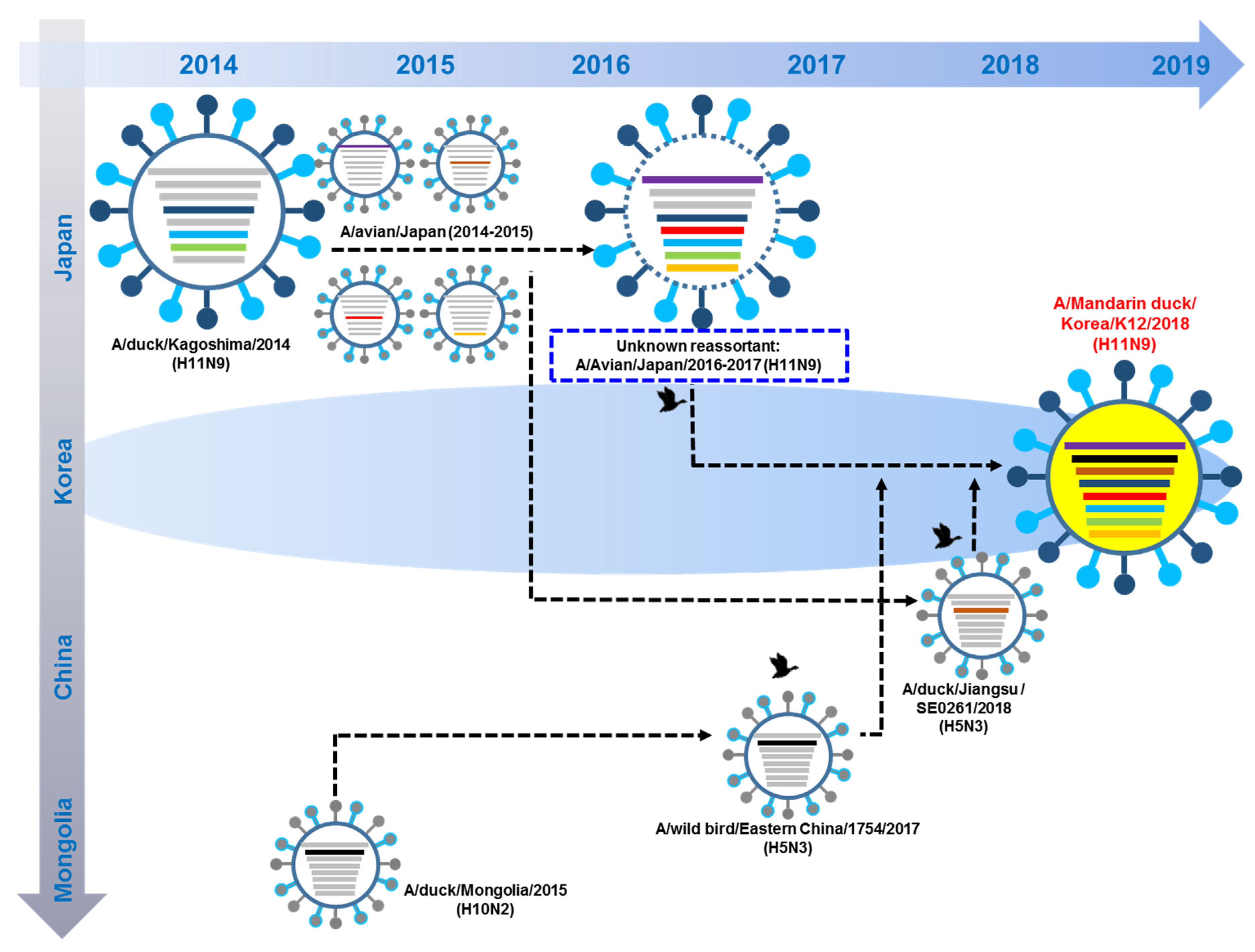 Viruses 12 00203 g005 Viruses 12 00203 g005