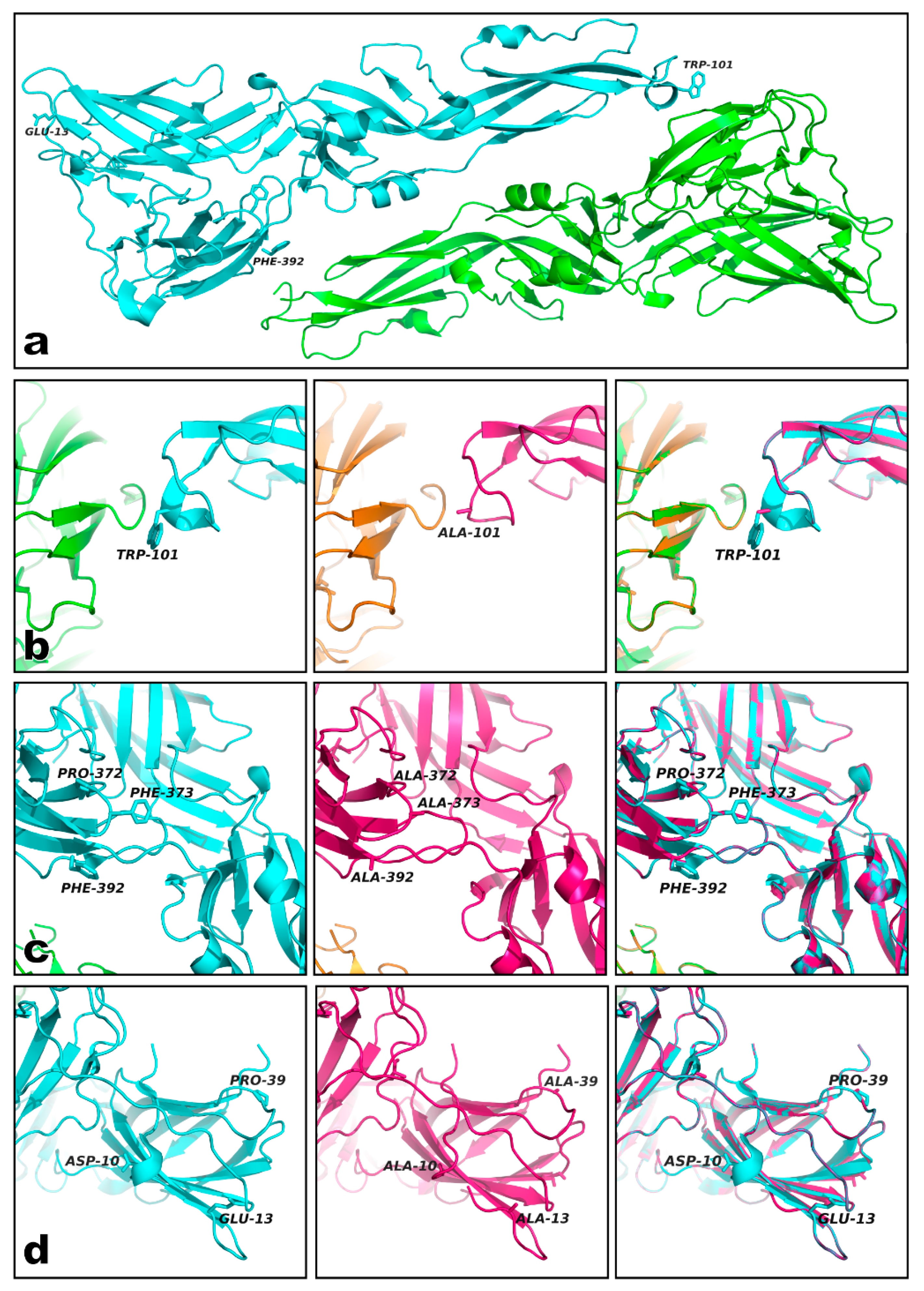 Viruses 12 00208 g002
