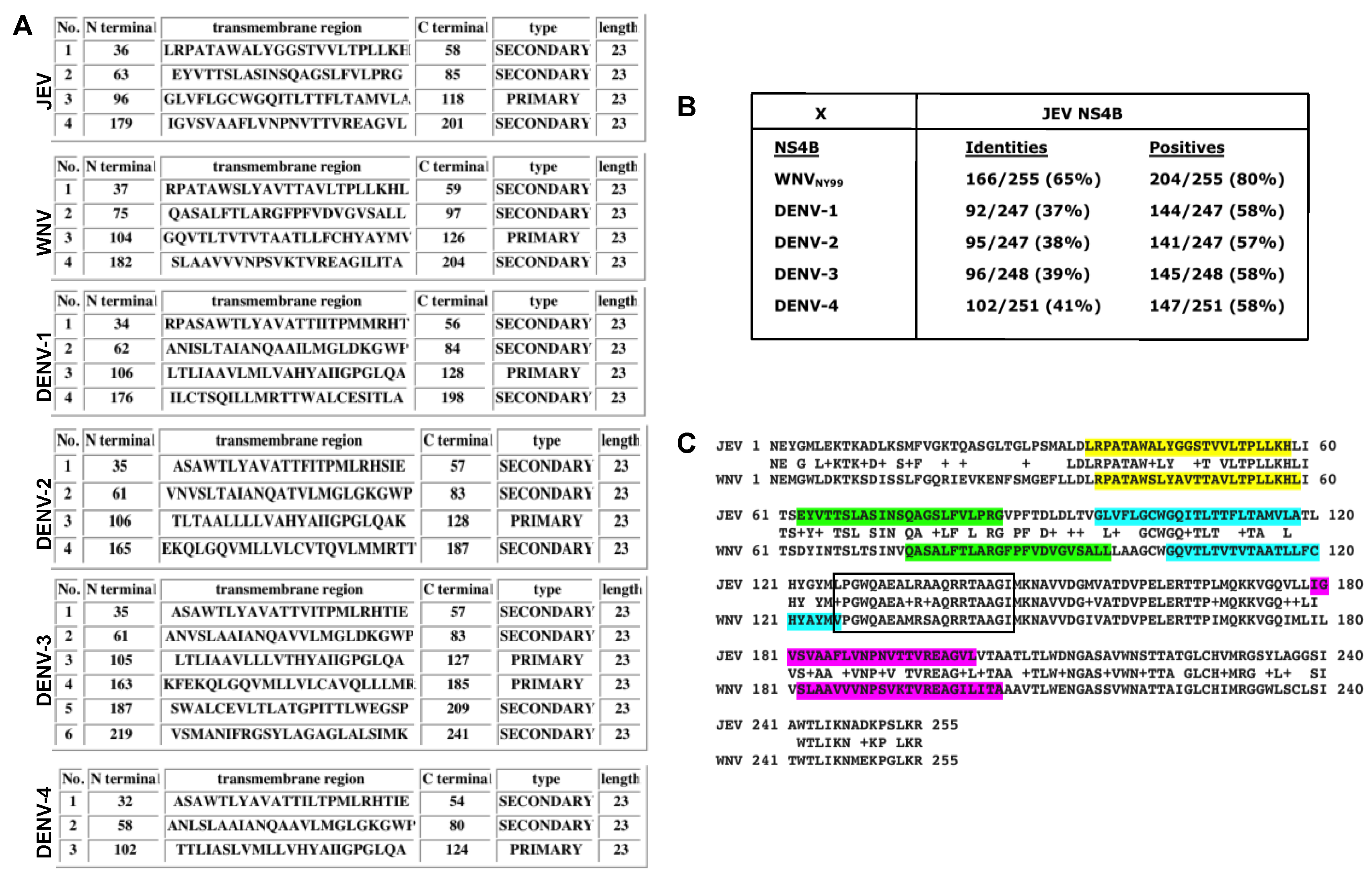 Viruses 12 00212 g004