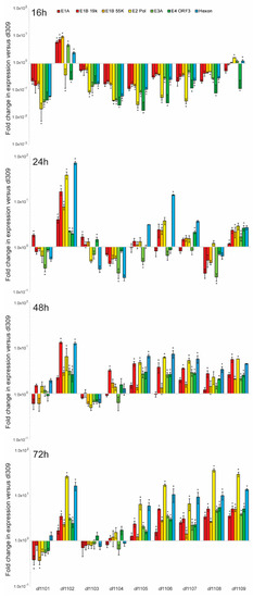 Viruses | Free Full-Text | Characterization of Adenovirus 5 E1A Exon 1 ...