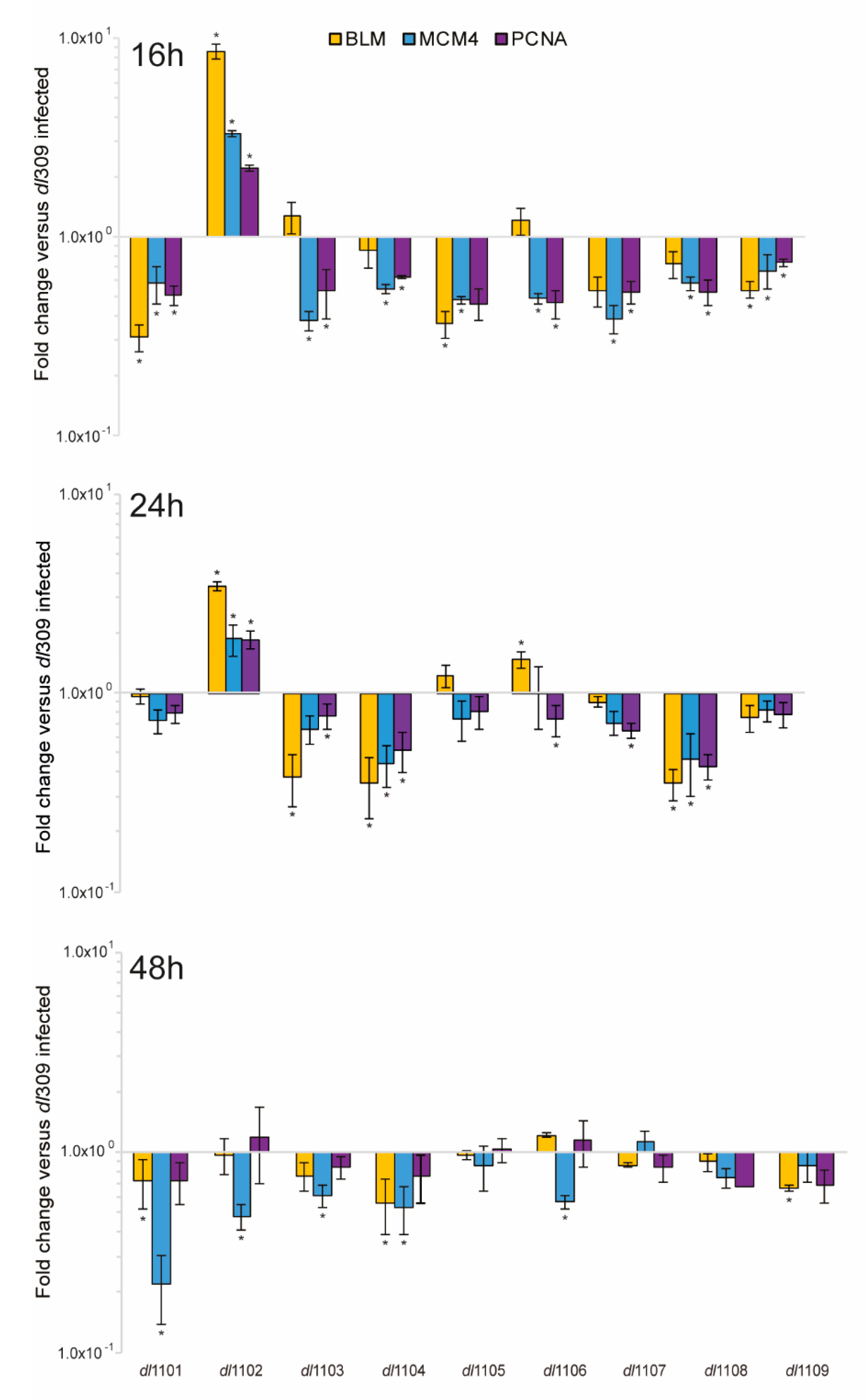 Viruses 12 00213 g008 Viruses 12 00213 g008