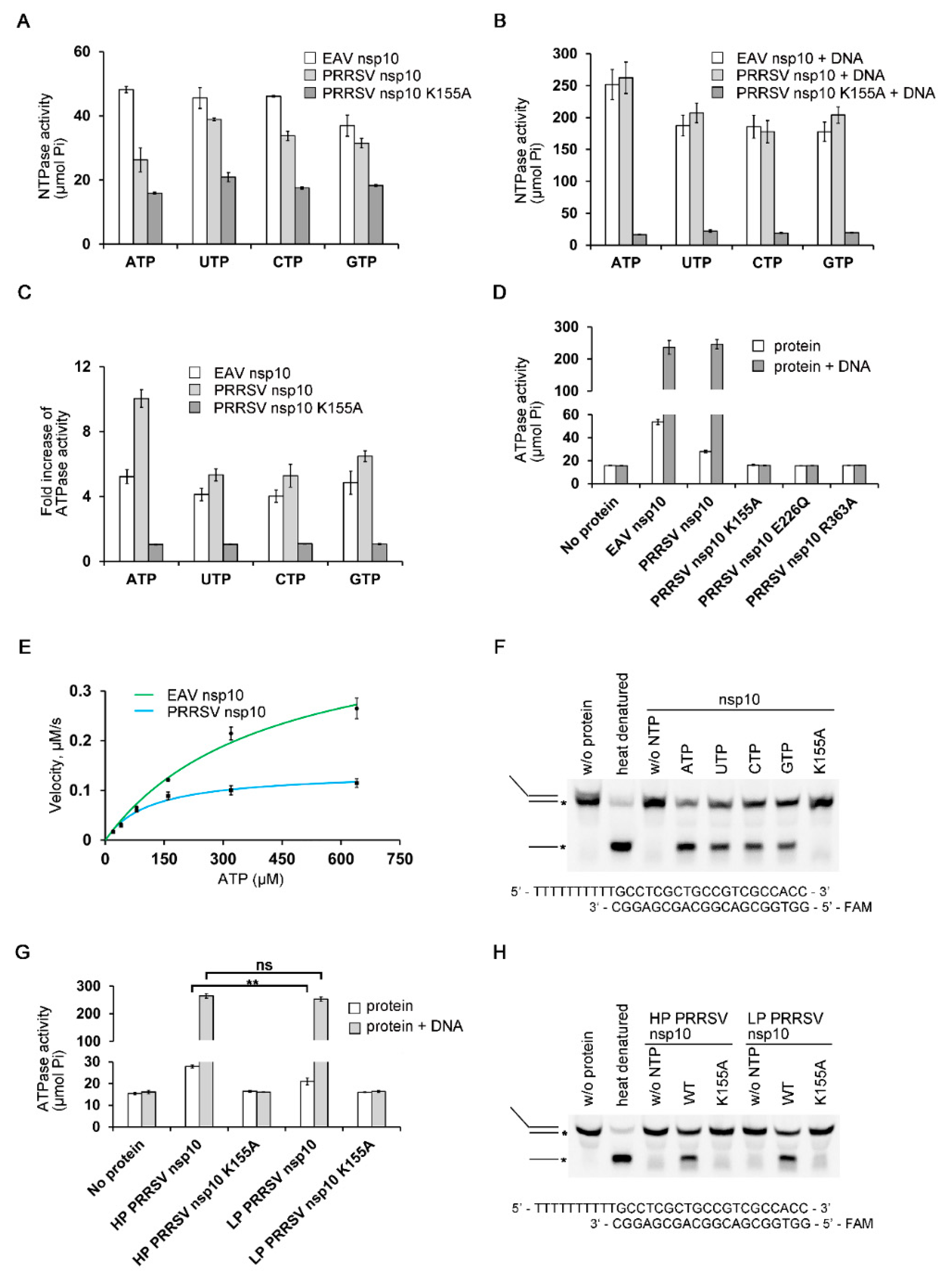 Viruses 12 00215 g002 Viruses 12 00215 g002