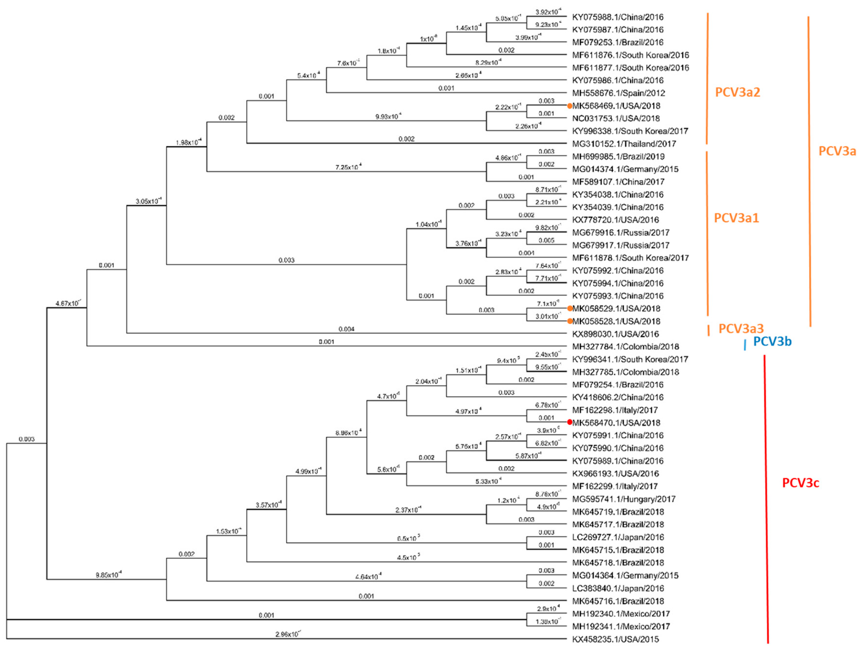 Viruses 12 00219 g004