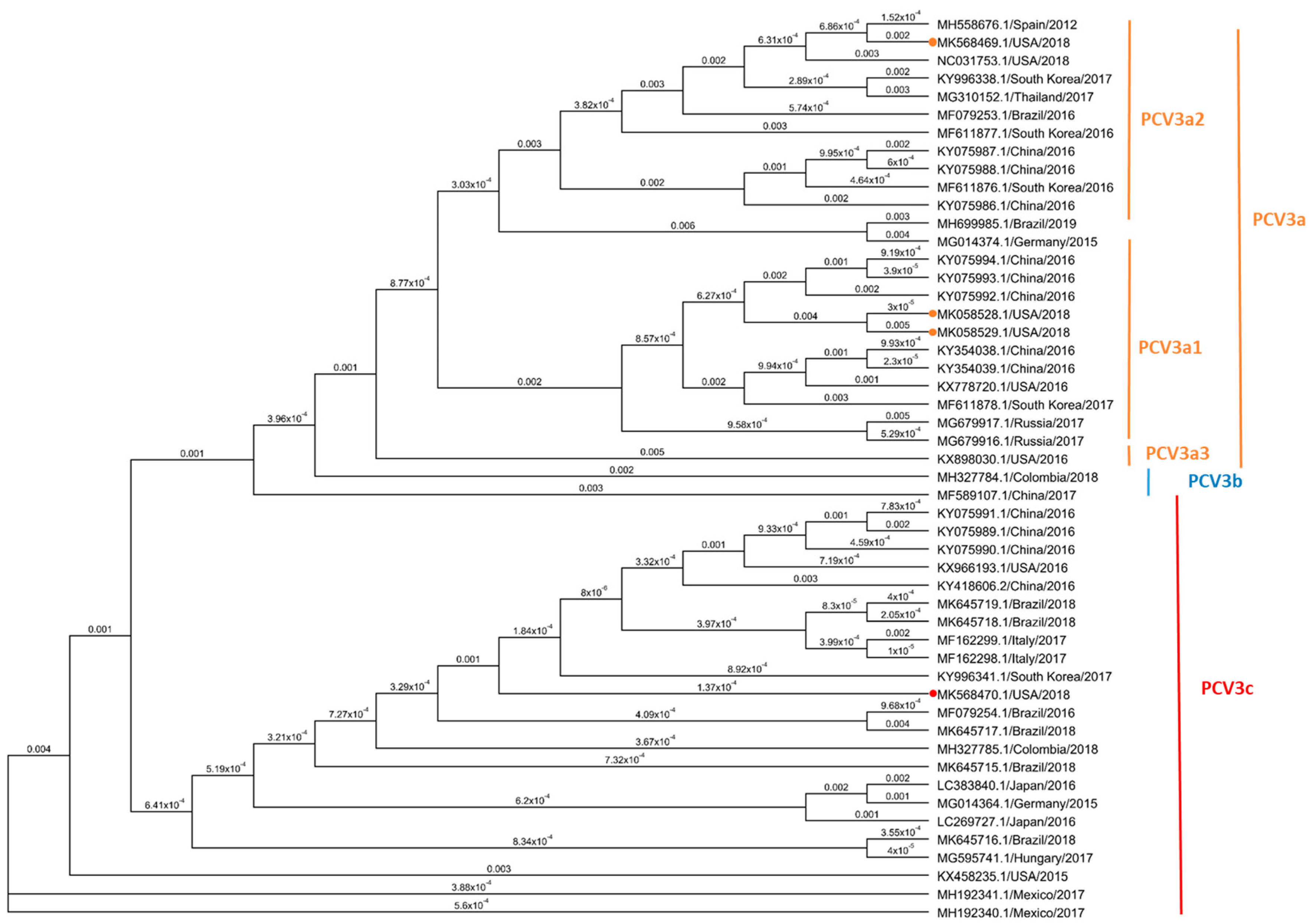 Viruses 12 00219 g005