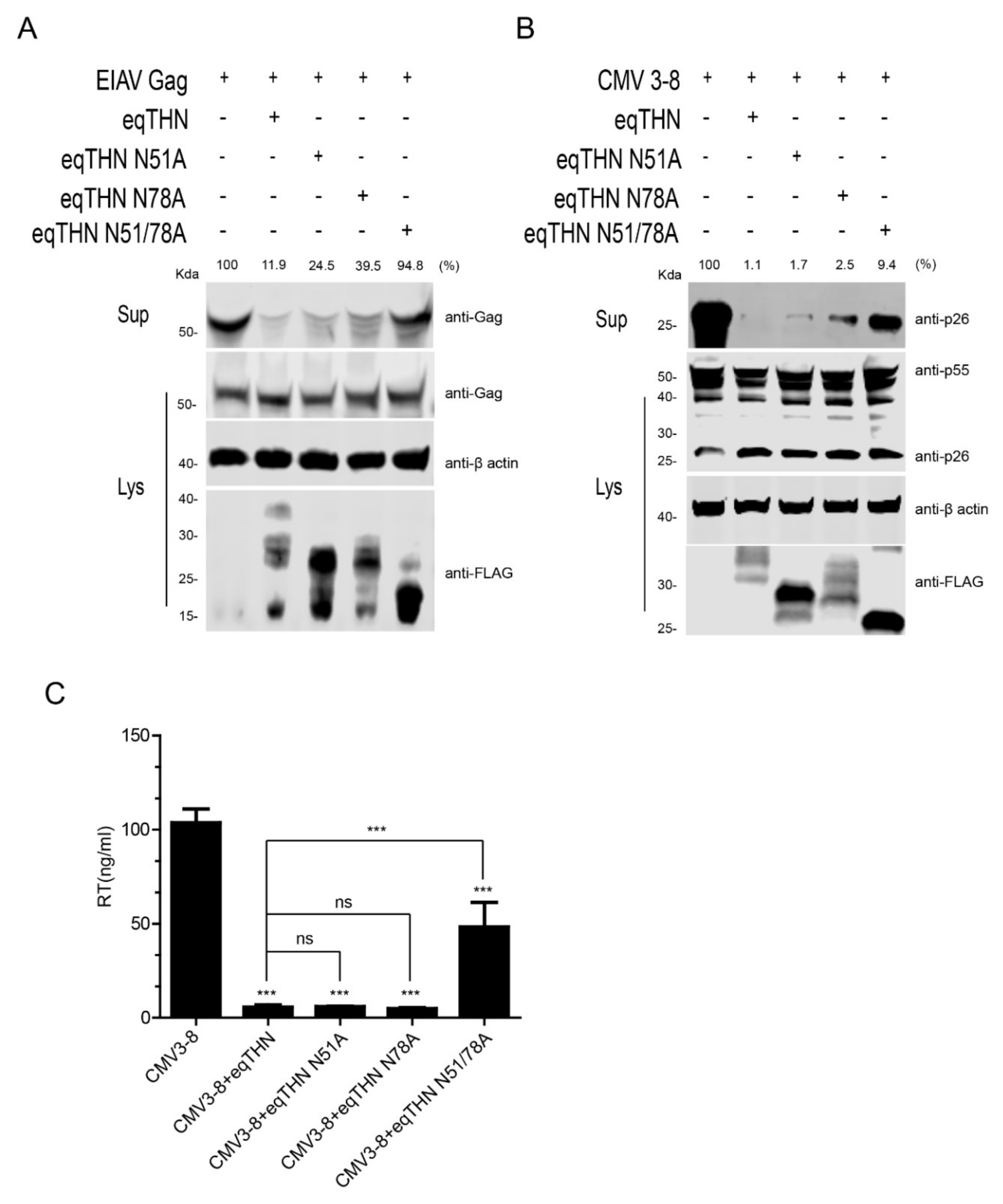 Viruses 12 00220 g002