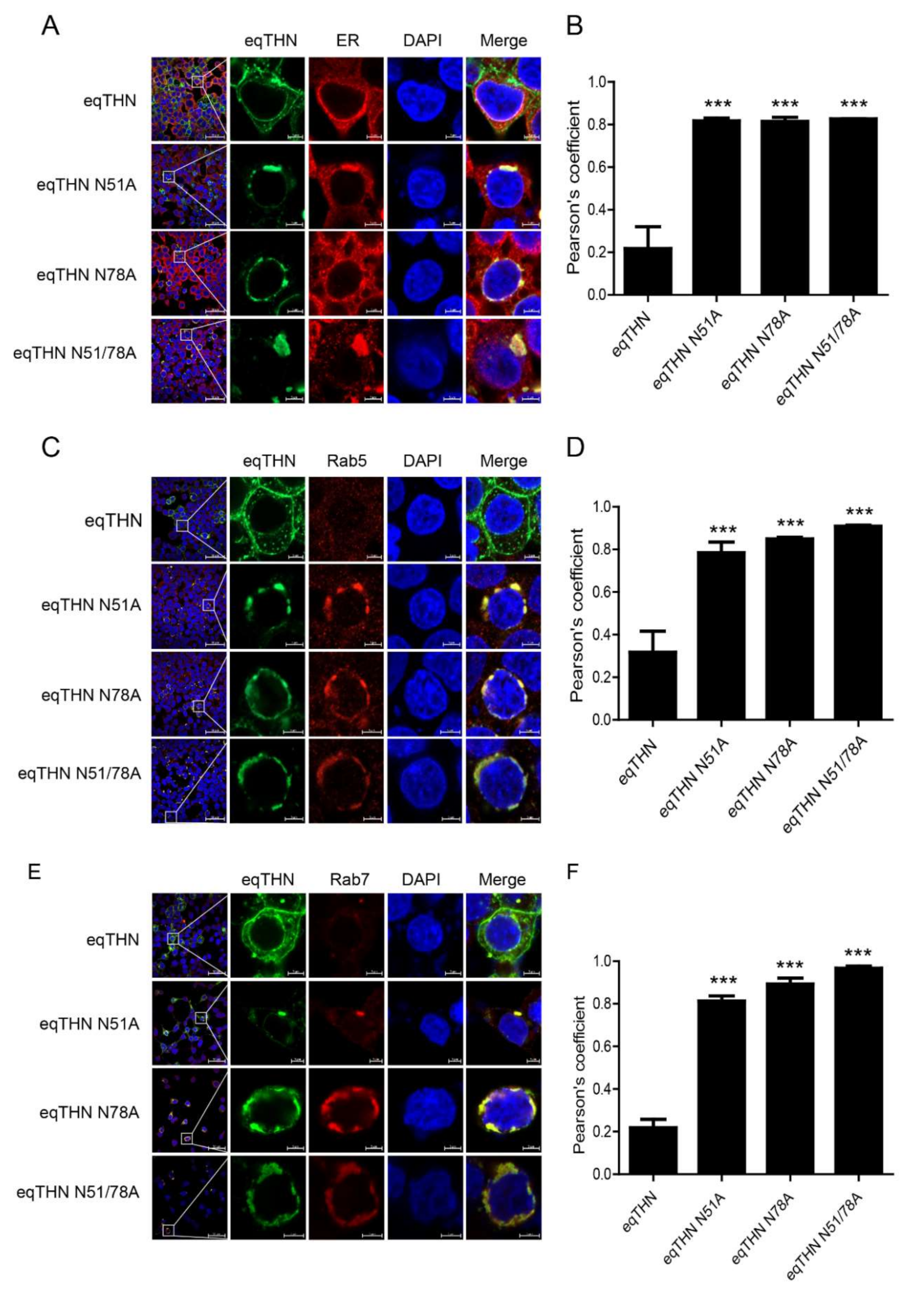 Viruses 12 00220 g004a