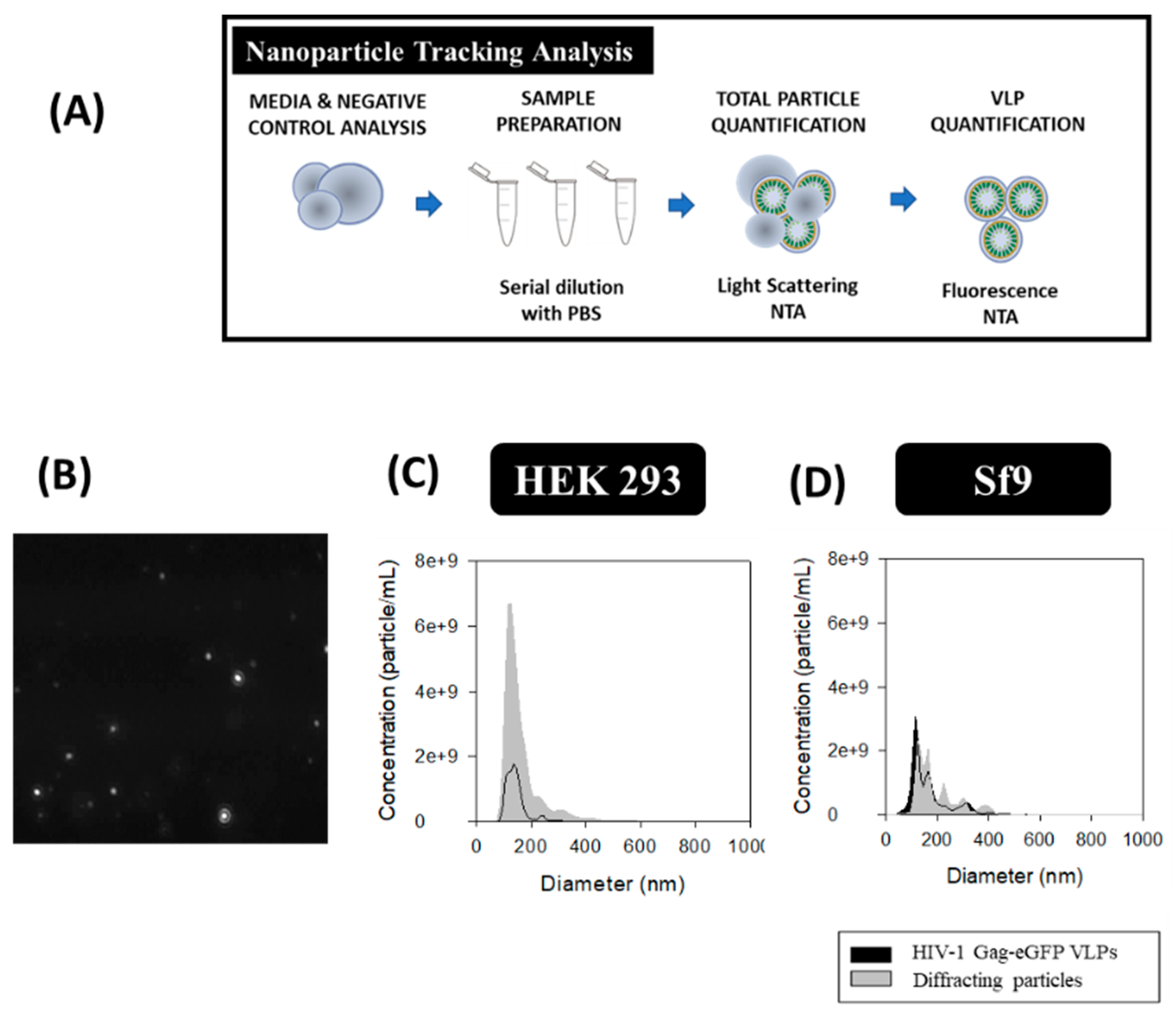 Viruses 12 00223 g005 Viruses 12 00223 g005