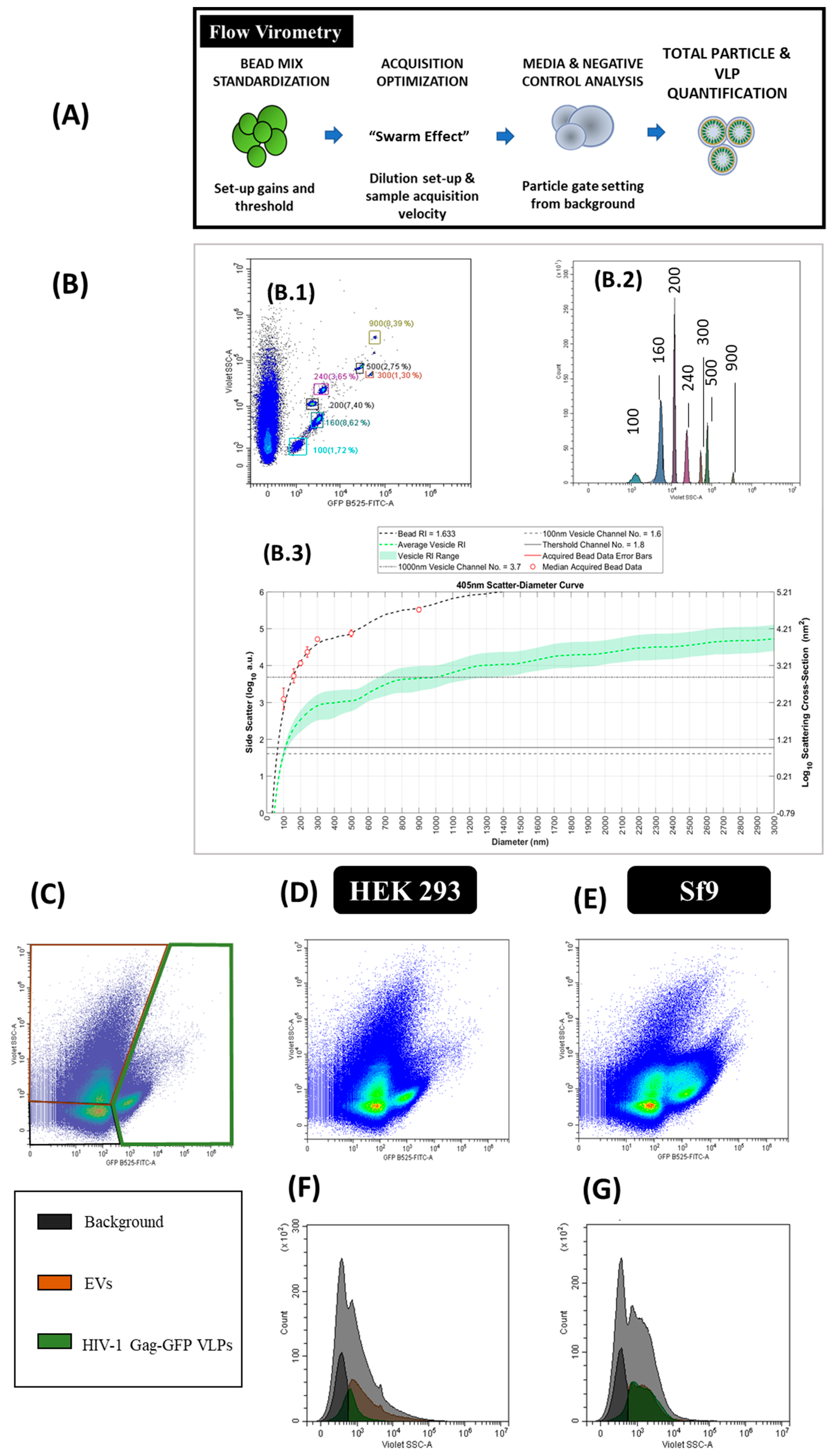 Viruses 12 00223 g006 Viruses 12 00223 g006