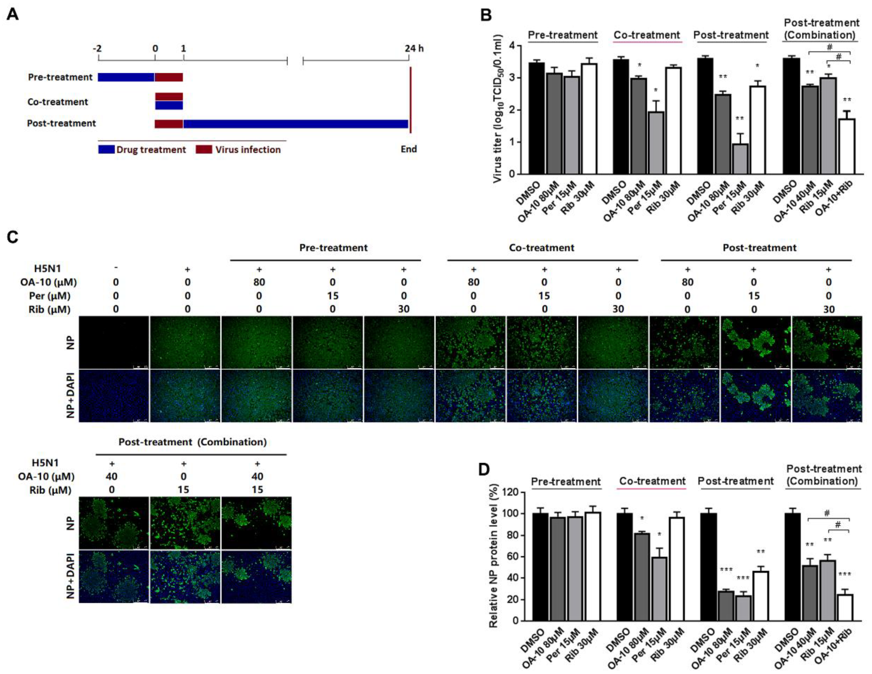 Viruses 12 00225 g003