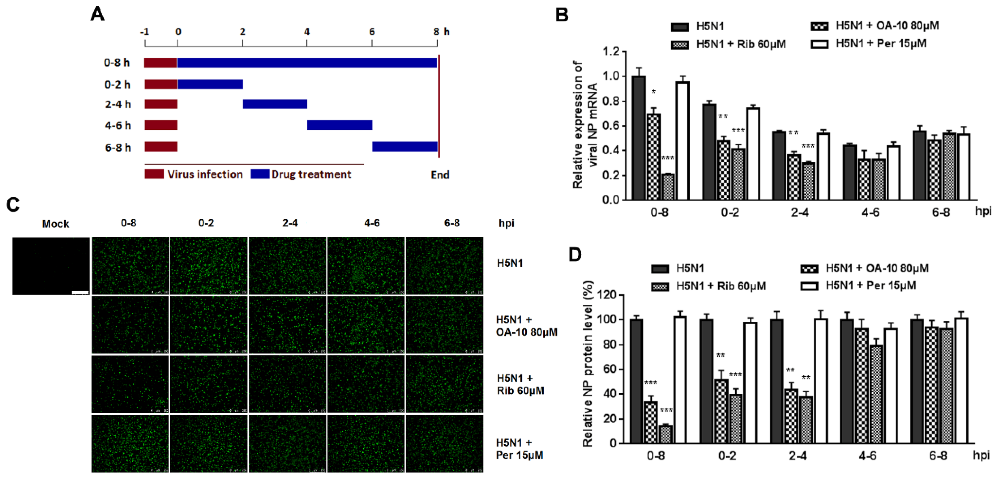 Viruses 12 00225 g004