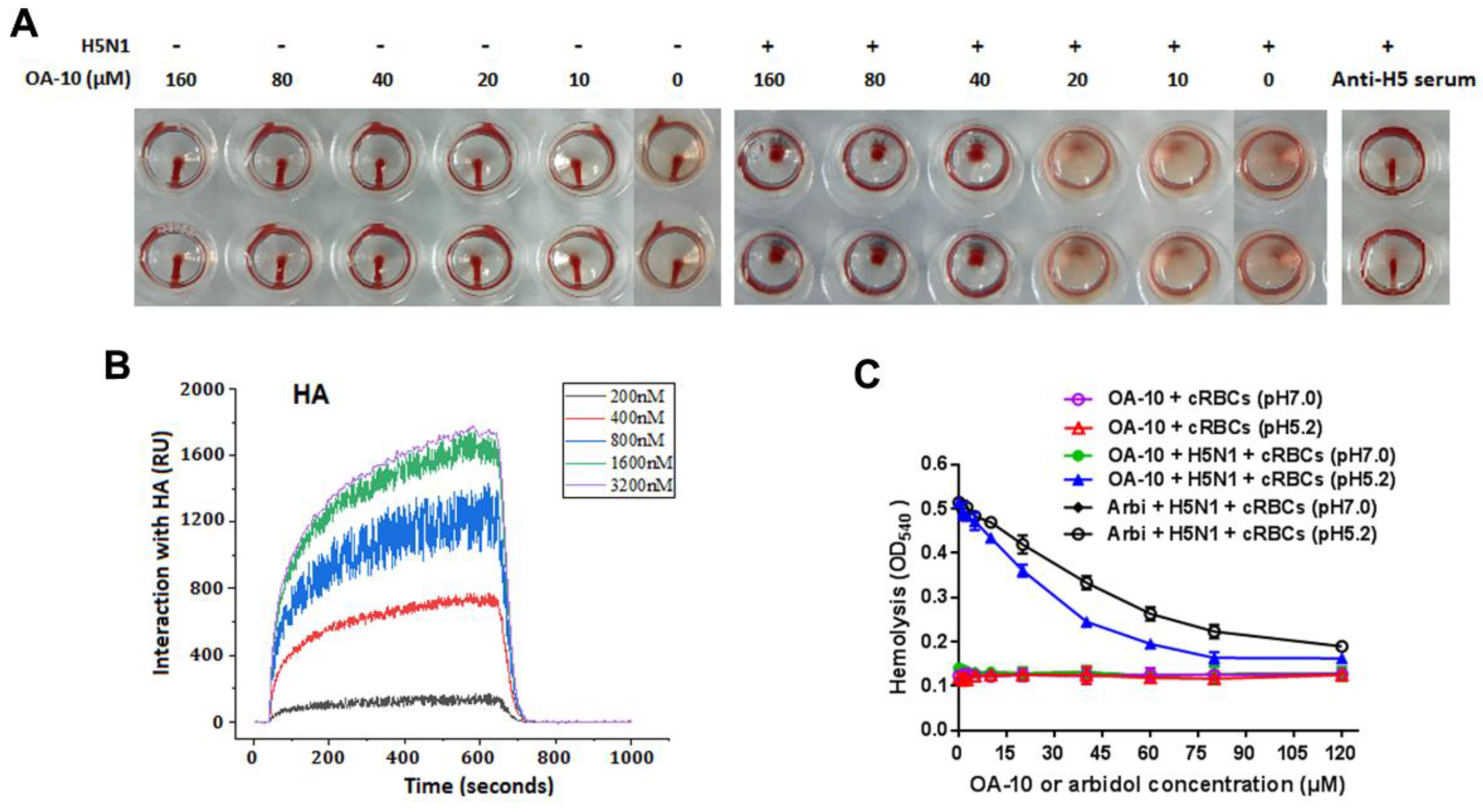 Viruses 12 00225 g005