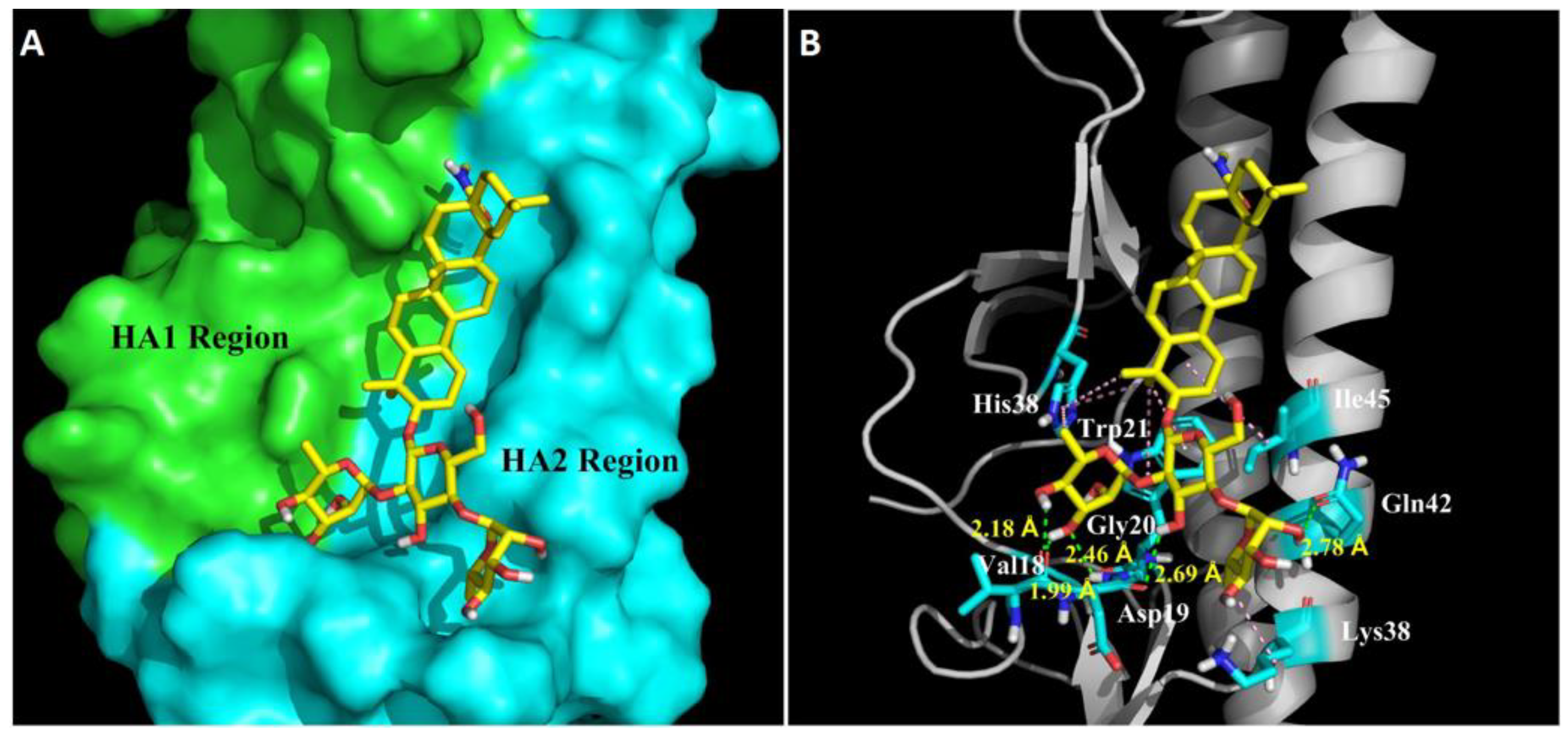 Viruses 12 00225 g006